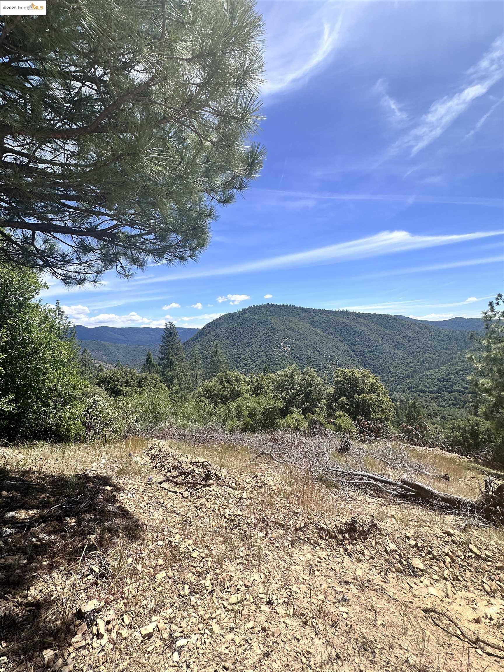Detail Gallery Image 10 of 10 For 00000 Old Buchanan Mine Road, Sonora,  CA 95379 - – Beds | – Baths