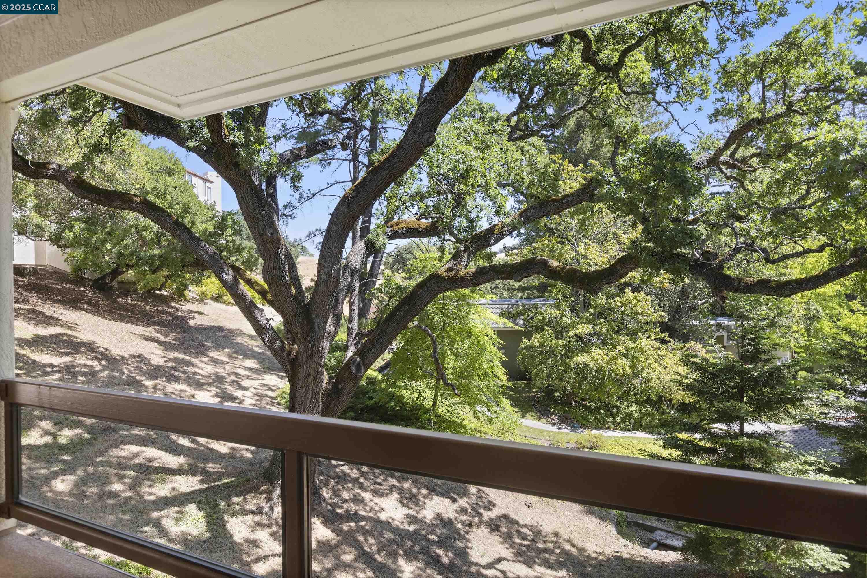 Detail Gallery Image 38 of 54 For 1285 Avenida Sevilla 1a,  Walnut Creek,  CA 94595 - 2 Beds | 2 Baths