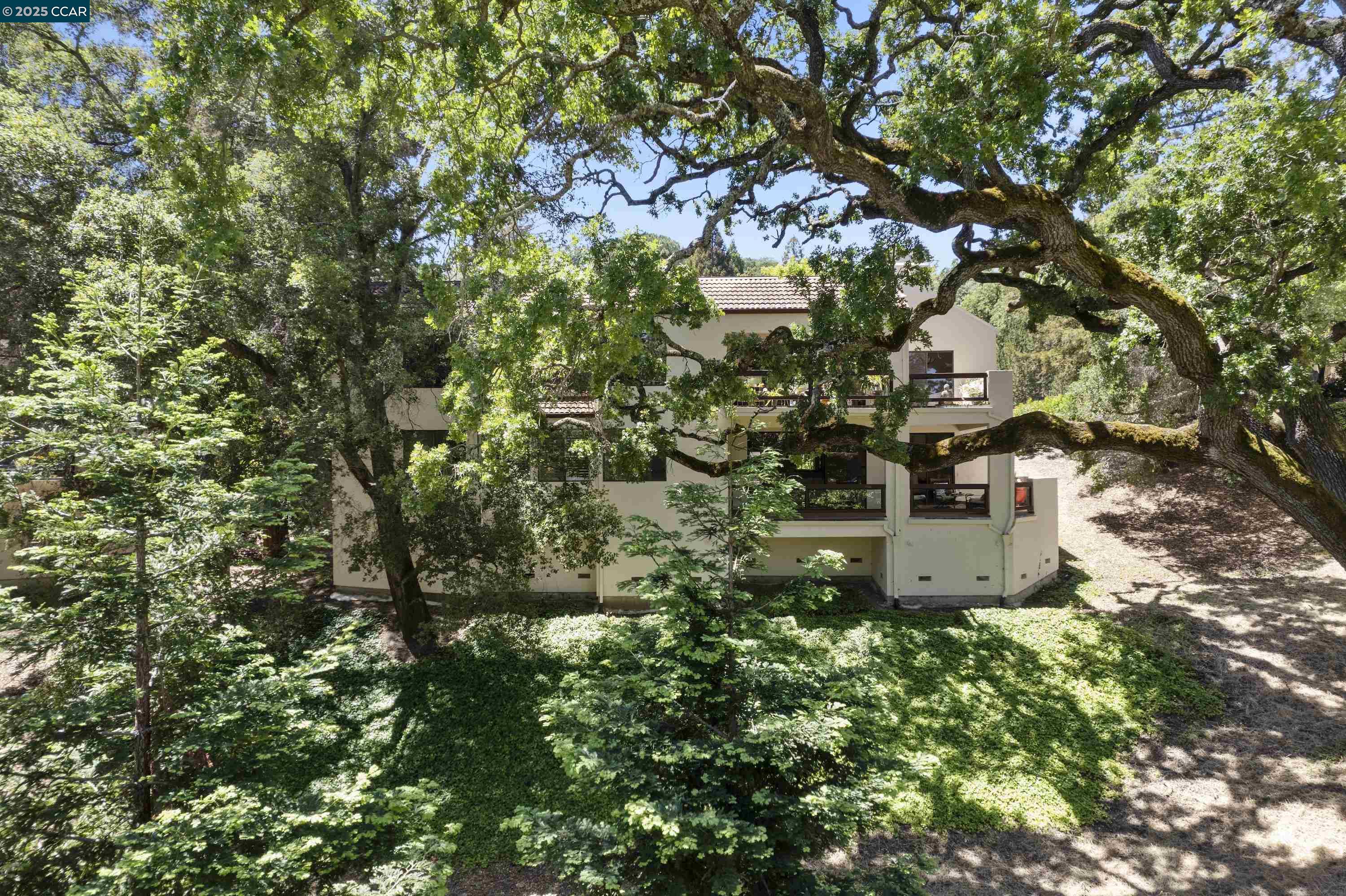 Detail Gallery Image 40 of 54 For 1285 Avenida Sevilla 1a,  Walnut Creek,  CA 94595 - 2 Beds | 2 Baths