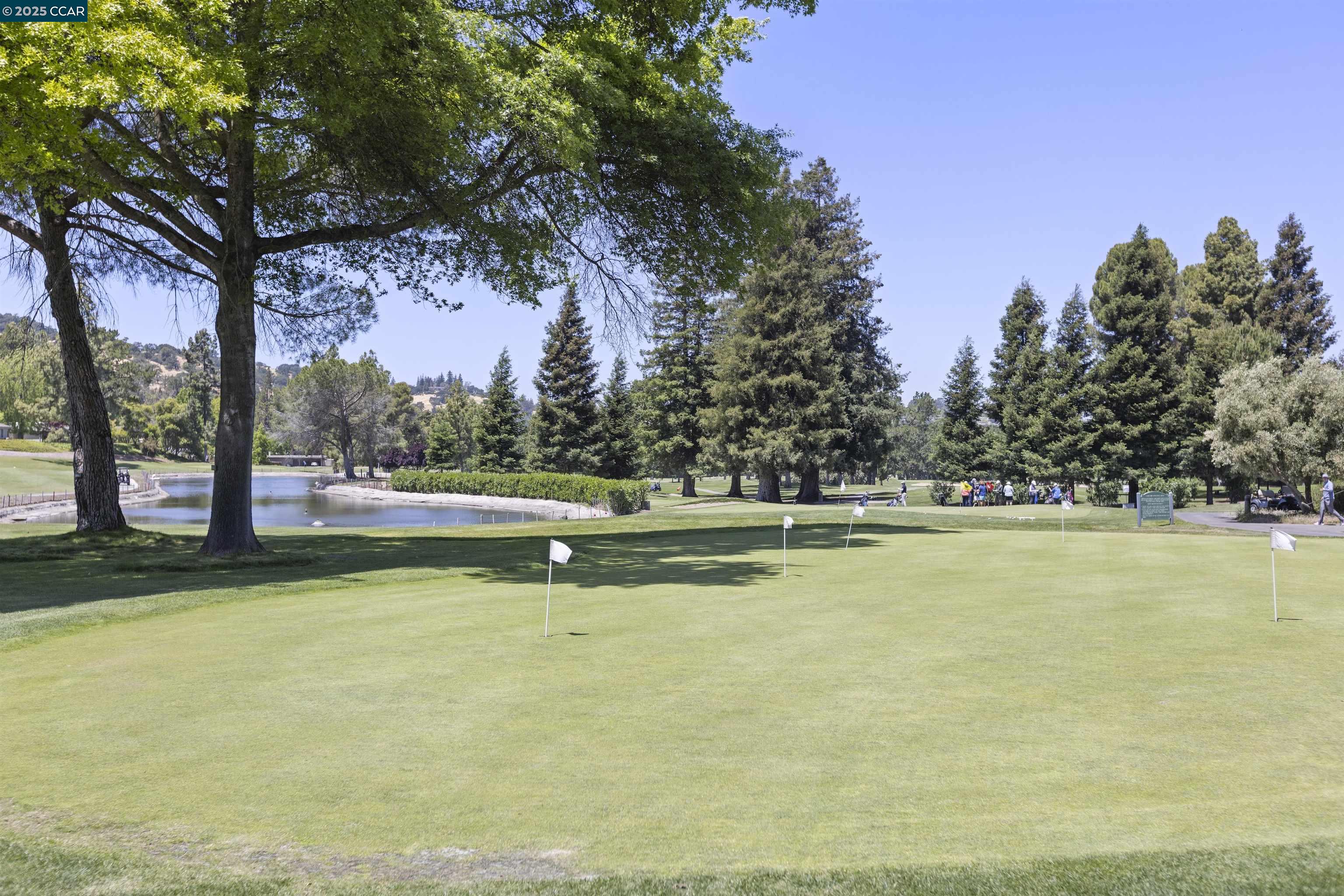 Detail Gallery Image 44 of 54 For 1285 Avenida Sevilla 1a,  Walnut Creek,  CA 94595 - 2 Beds | 2 Baths