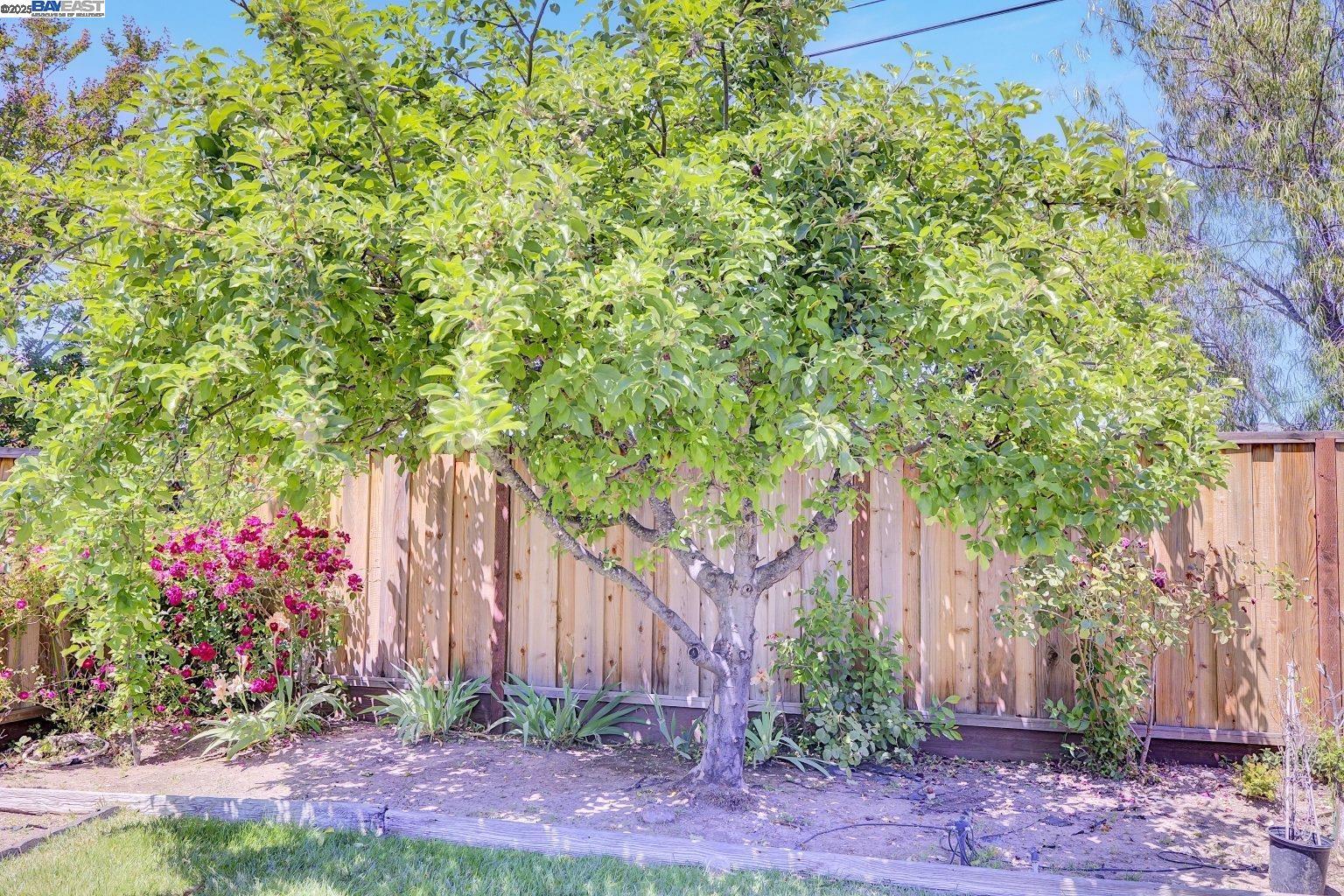 Detail Gallery Image 33 of 44 For 1487 De Palma Dr, San Jose,  CA 95120 - 4 Beds | 2/1 Baths