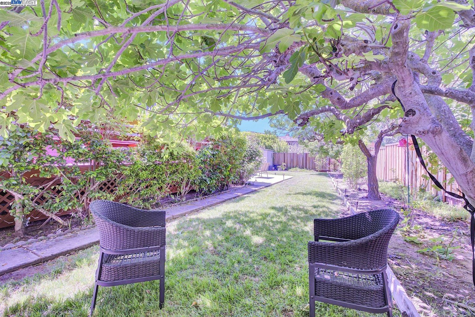 Detail Gallery Image 34 of 44 For 1487 De Palma Dr, San Jose,  CA 95120 - 4 Beds | 2/1 Baths
