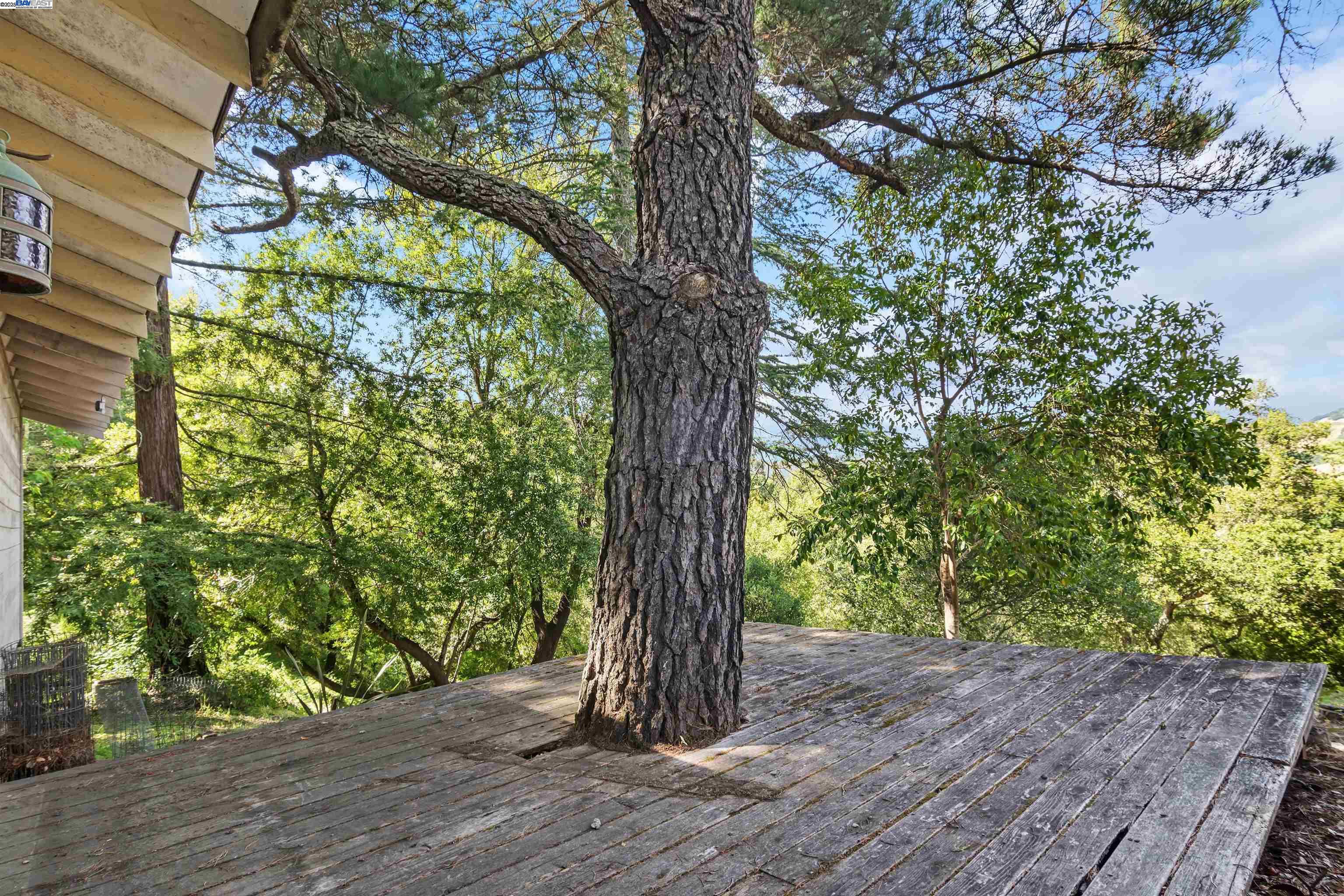 Detail Gallery Image 39 of 60 For 26 Marston Rd, Orinda,  CA 94563 - 4 Beds | 3 Baths