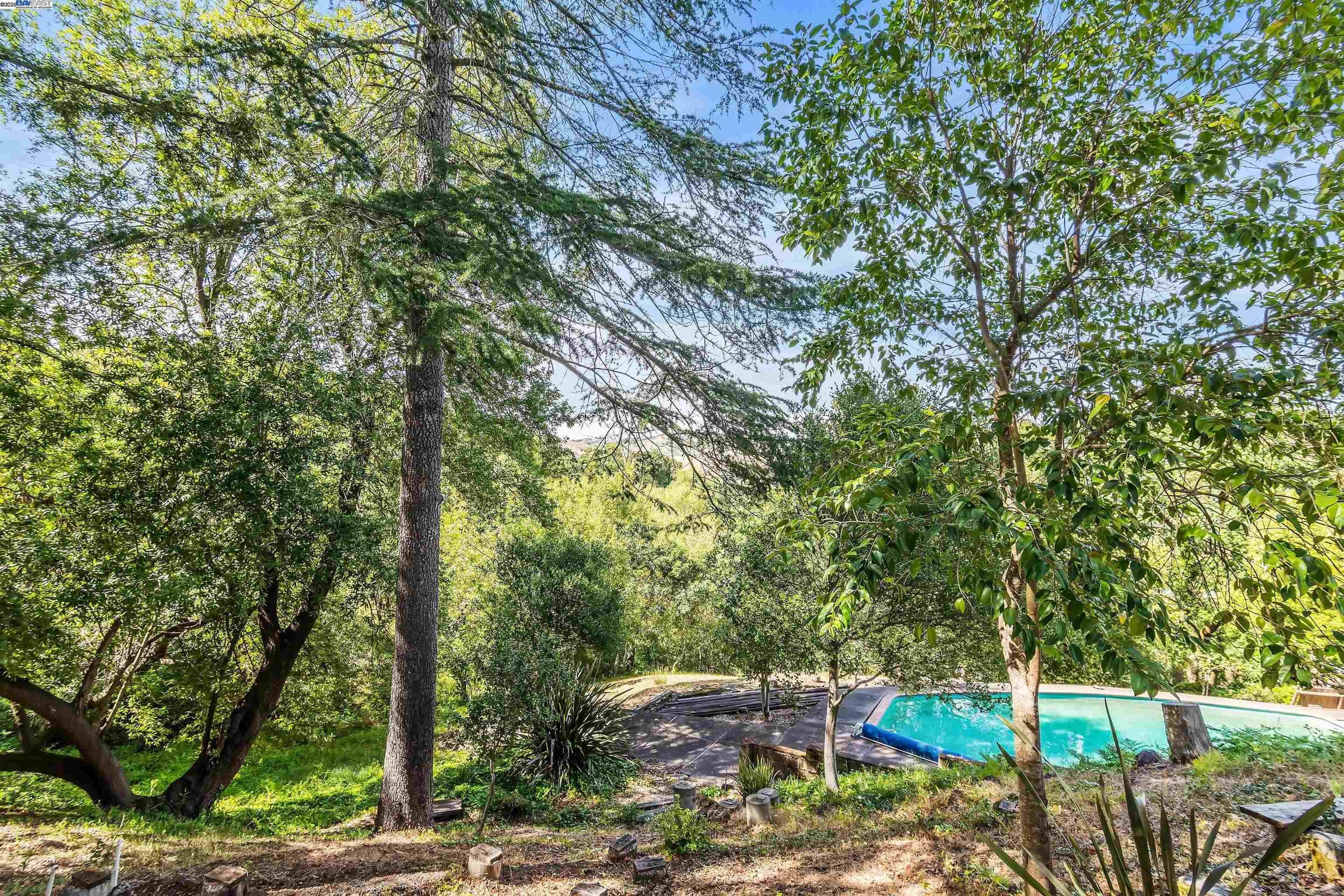 Detail Gallery Image 40 of 60 For 26 Marston Rd, Orinda,  CA 94563 - 4 Beds | 3 Baths