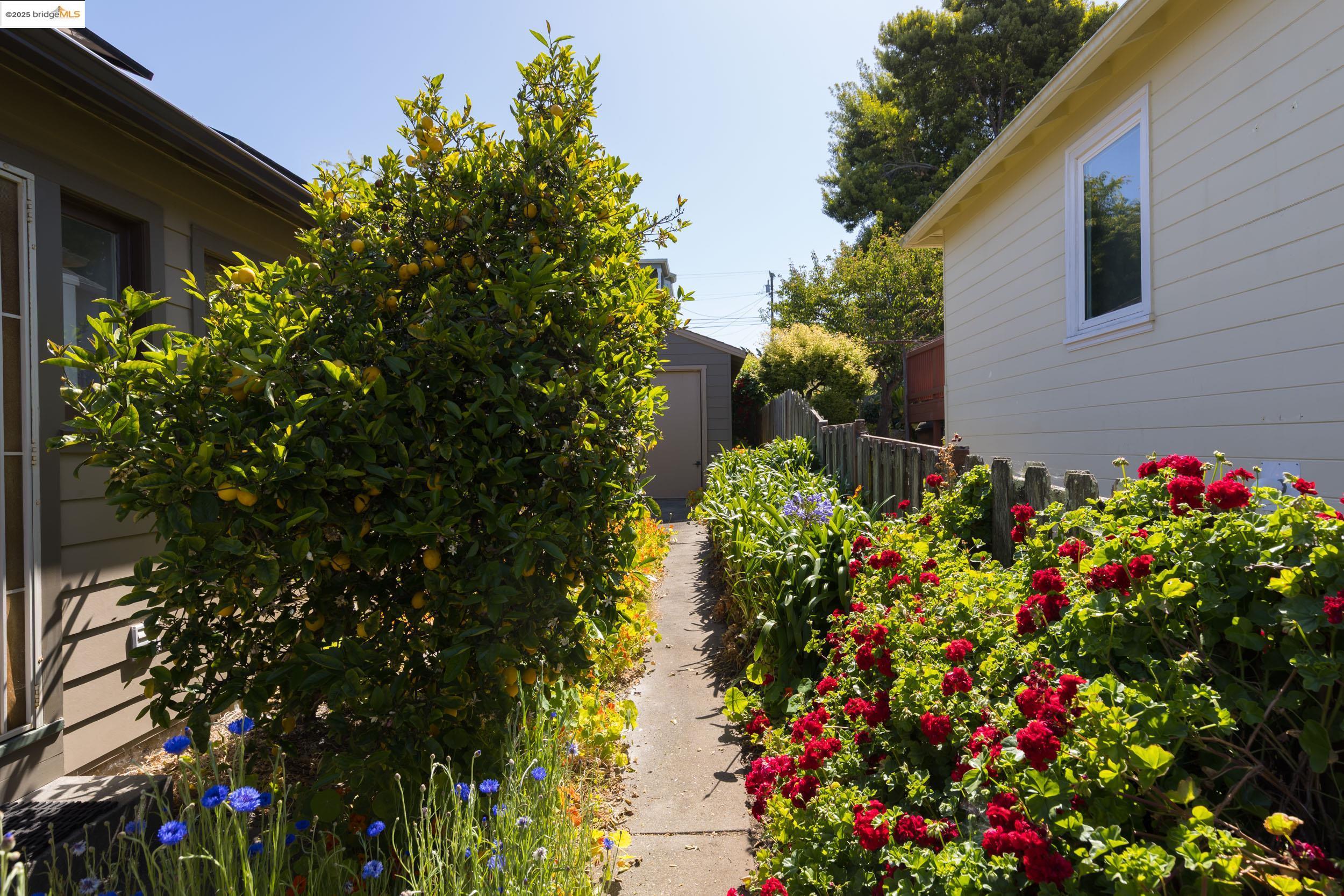Detail Gallery Image 23 of 28 For 1338 S 58th St, Richmond,  CA 94804 - 2 Beds | 1 Baths