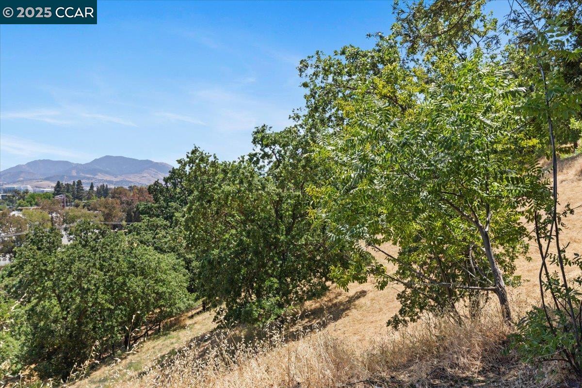 Detail Gallery Image 28 of 35 For 491 Camelback Rd, Pleasant Hill,  CA 94523 - 2 Beds | 2 Baths
