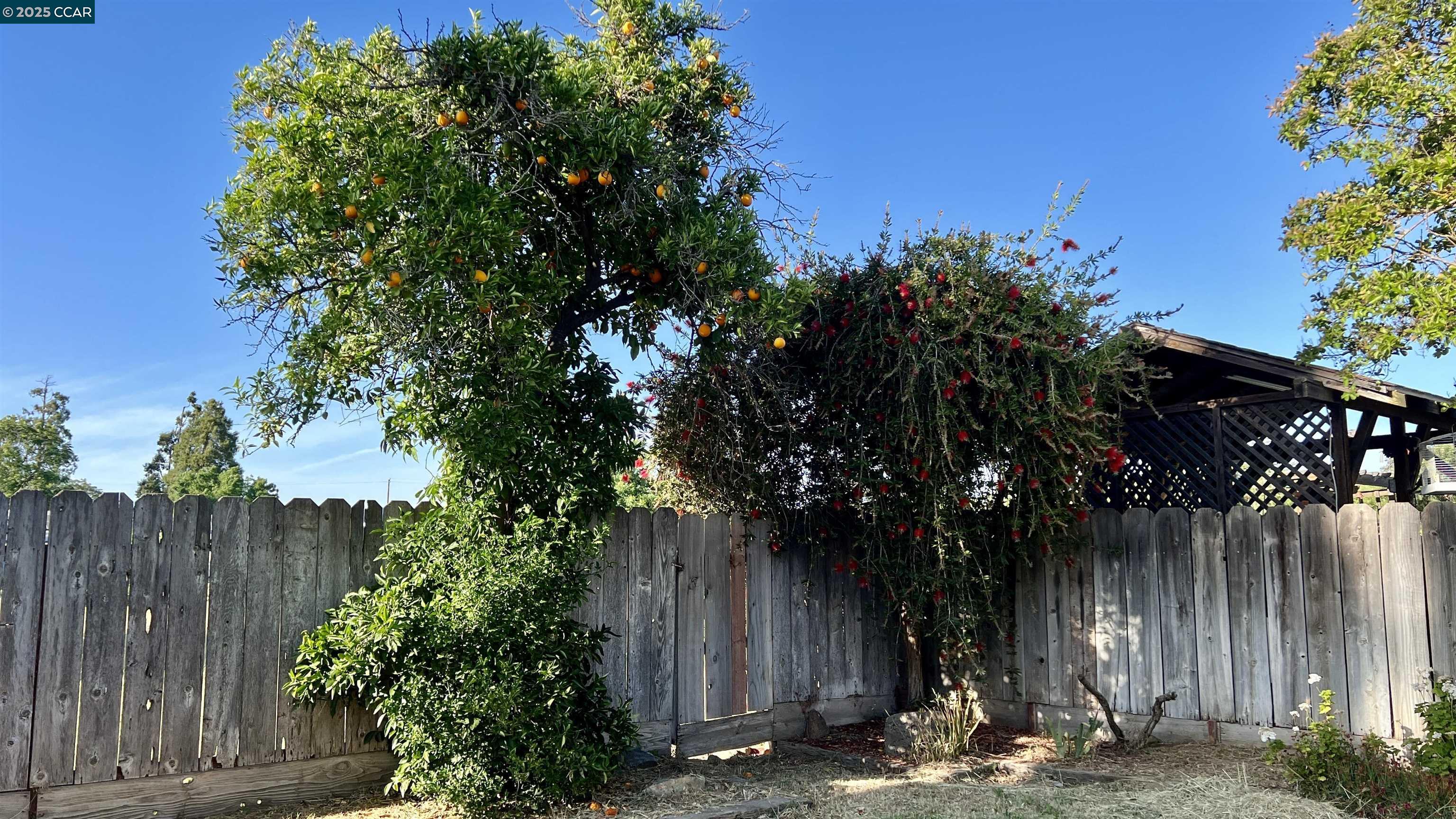 Detail Gallery Image 15 of 20 For 14413 Modoc Ct, Manteca,  CA 95336 - 3 Beds | 2 Baths