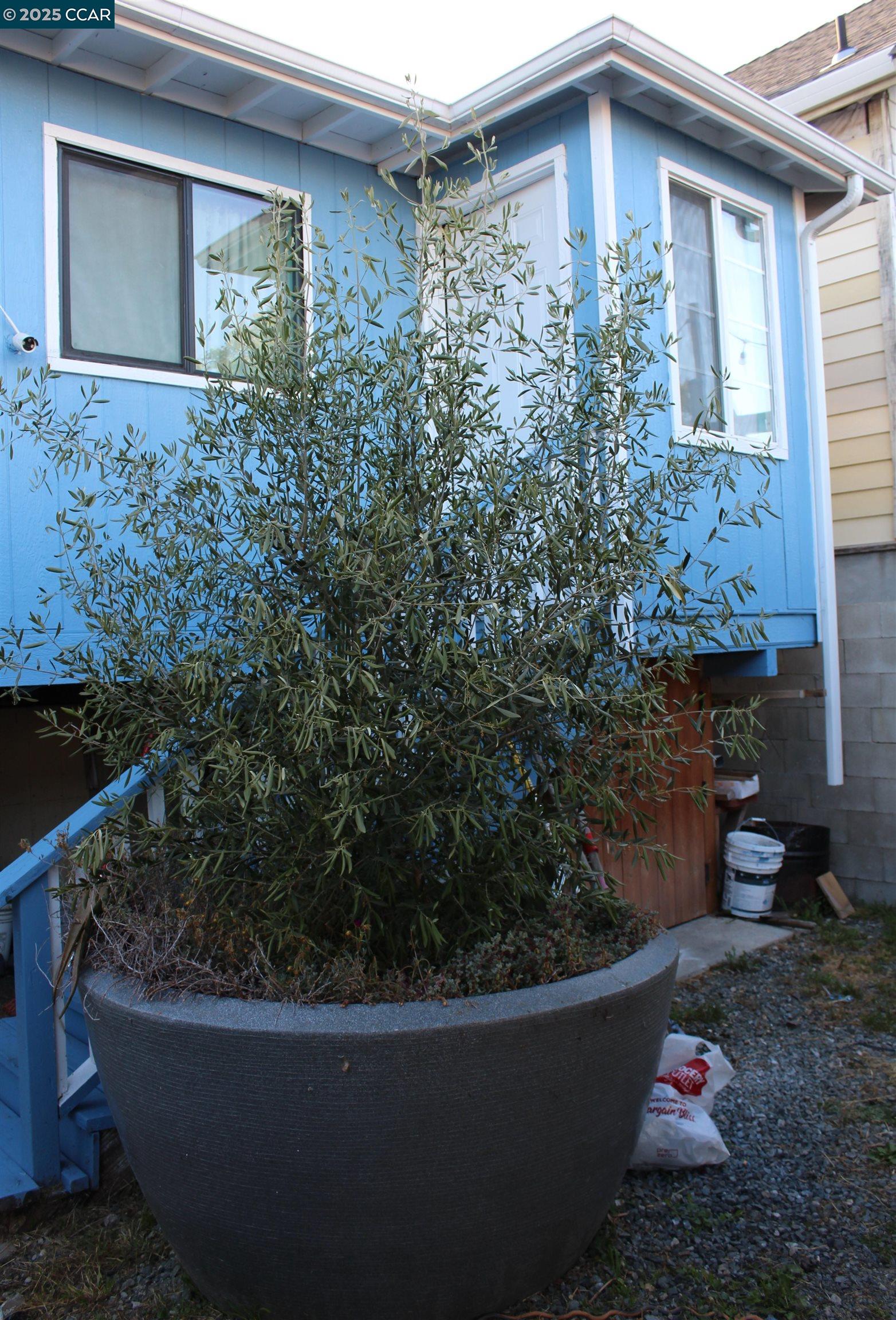 Detail Gallery Image 52 of 53 For 540 3rd St, Richmond,  CA 94801-2608 - 3 Beds | 2 Baths
