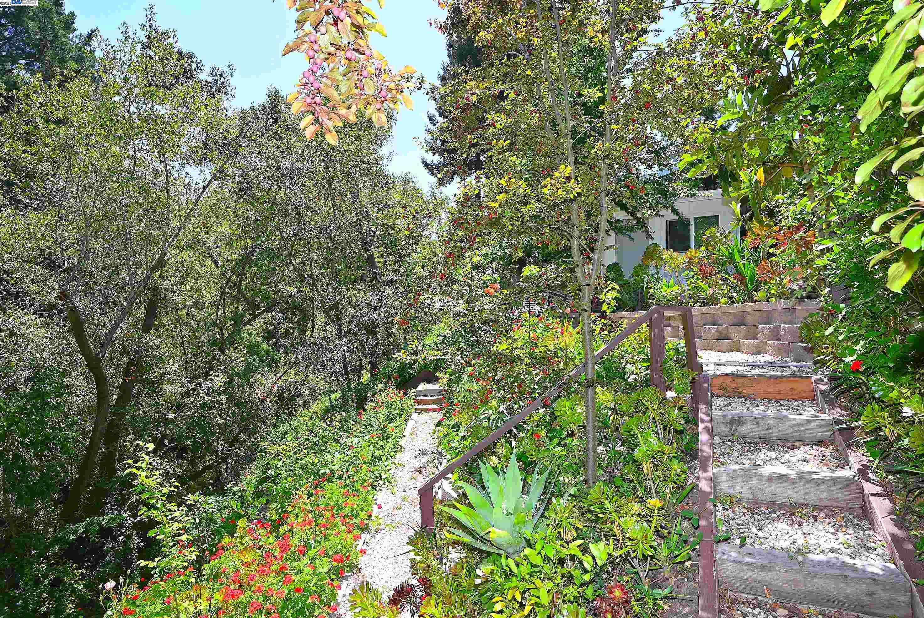 Detail Gallery Image 40 of 60 For 38 Saint Stephens Dr., Orinda,  CA 94563-1950 - 5 Beds | 3/1 Baths