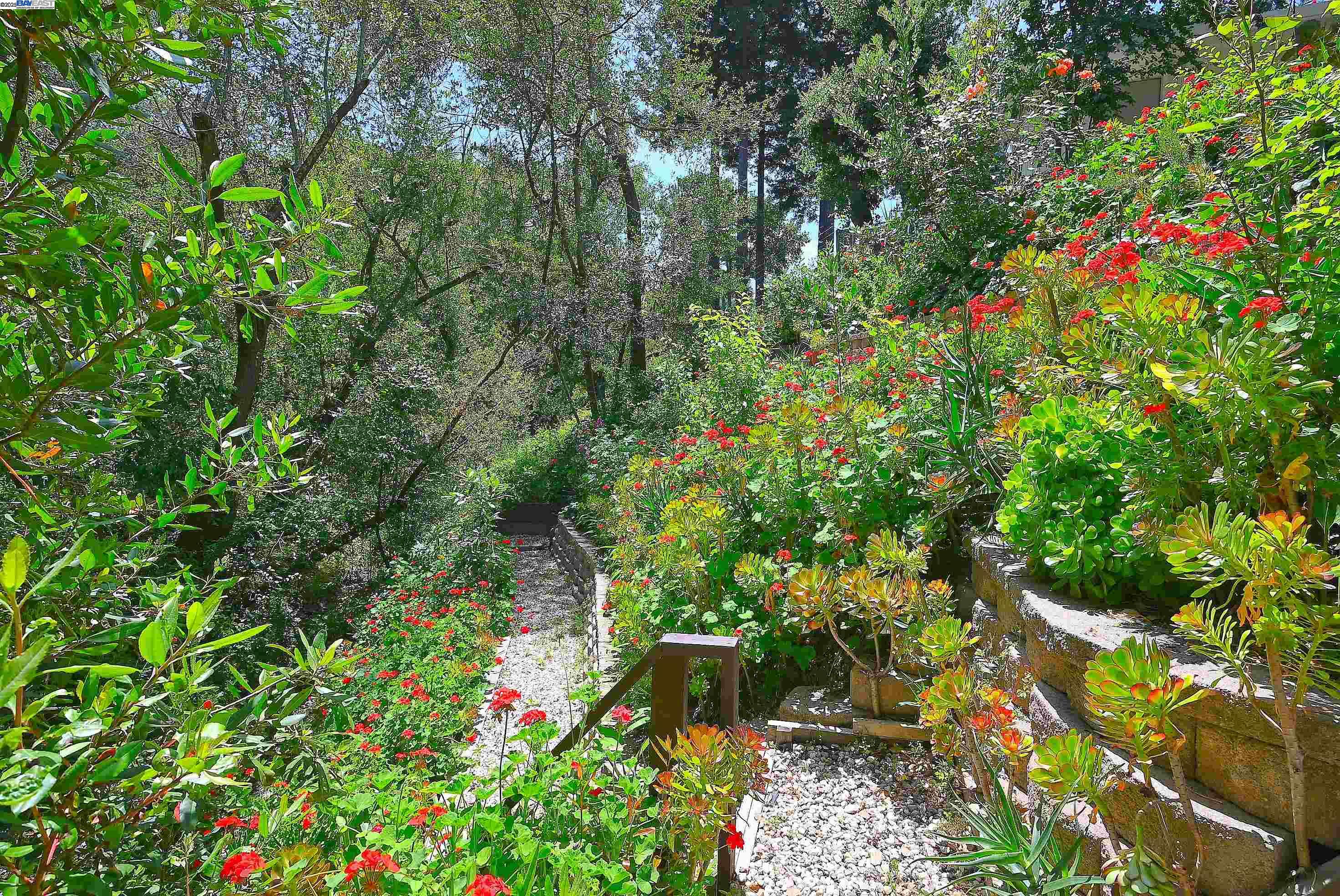 Detail Gallery Image 41 of 60 For 38 Saint Stephens Dr., Orinda,  CA 94563-1950 - 5 Beds | 3/1 Baths