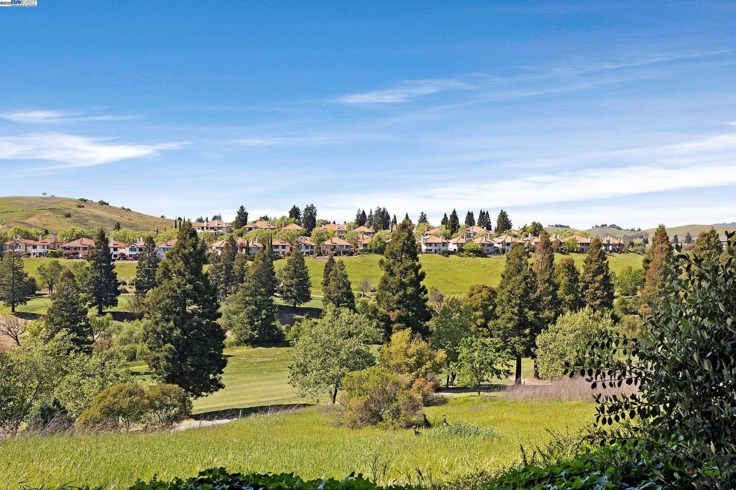 Detail Gallery Image 29 of 34 For 805 Watson Canyon Court #160,  San Ramon,  CA 94582 - 1 Beds | 1 Baths