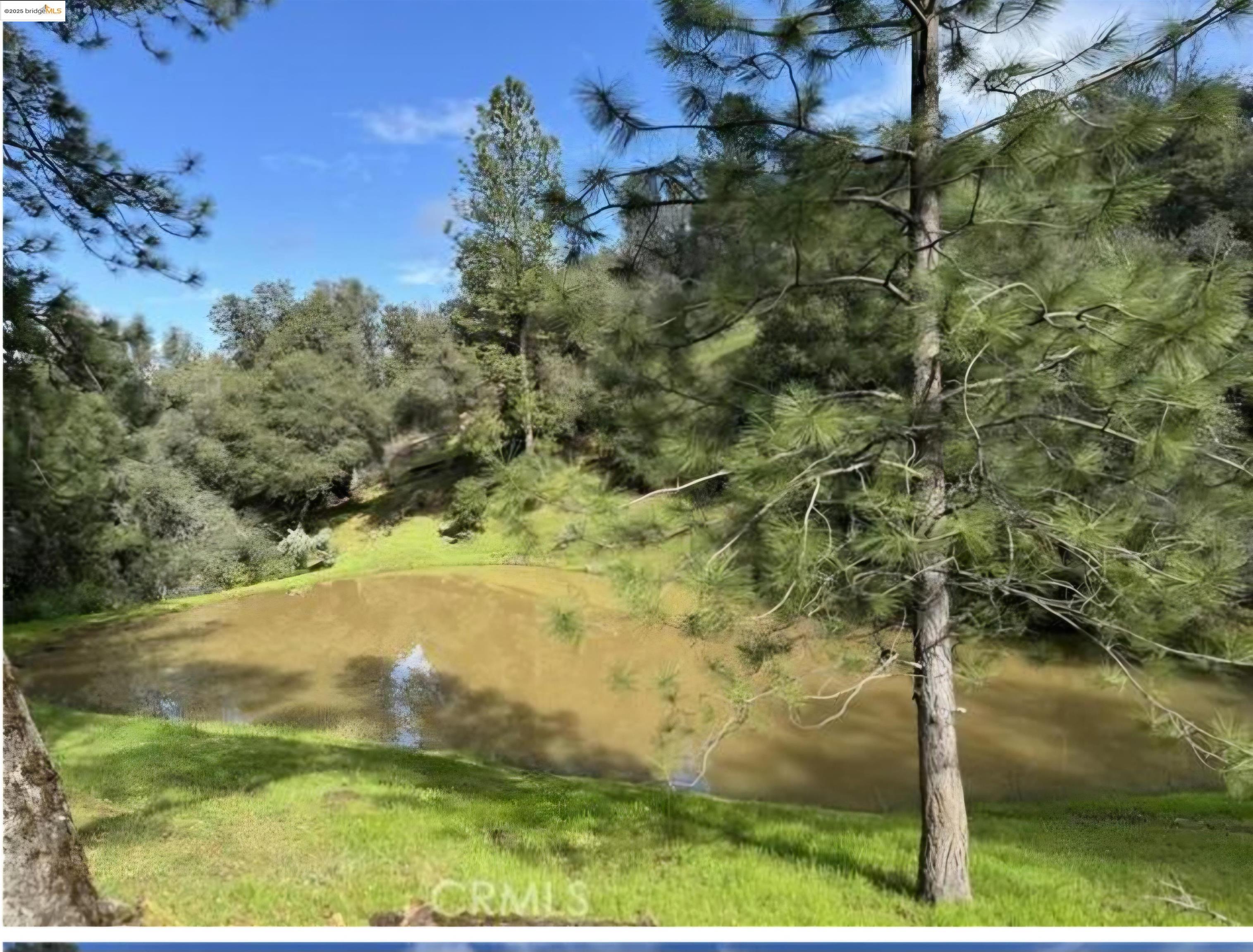 Detail Gallery Image 11 of 19 For 16551 Wards Ferry Rd, Sonora,  CA 95370 - – Beds | – Baths