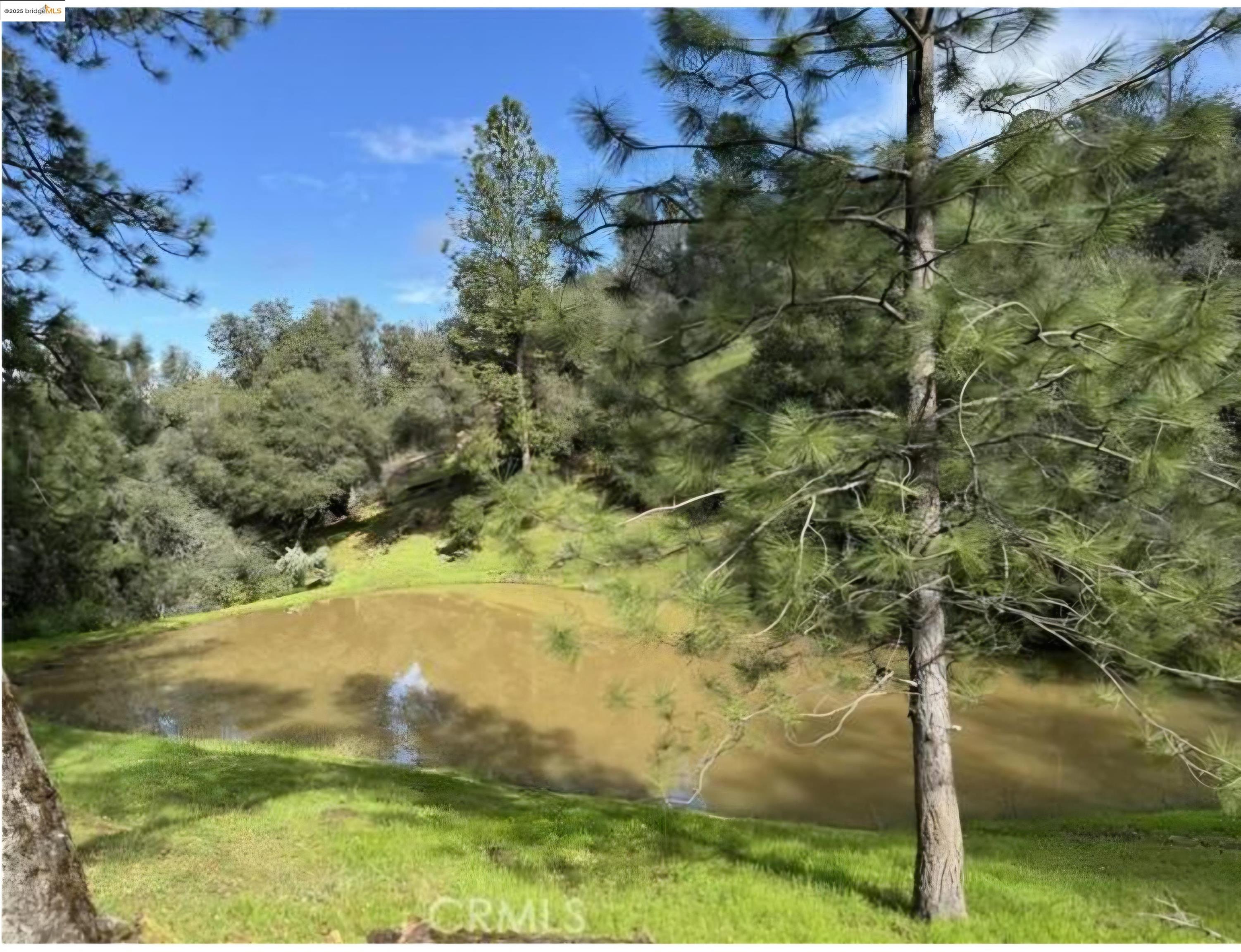Detail Gallery Image 12 of 19 For 16551 Wards Ferry Rd, Sonora,  CA 95370 - – Beds | – Baths