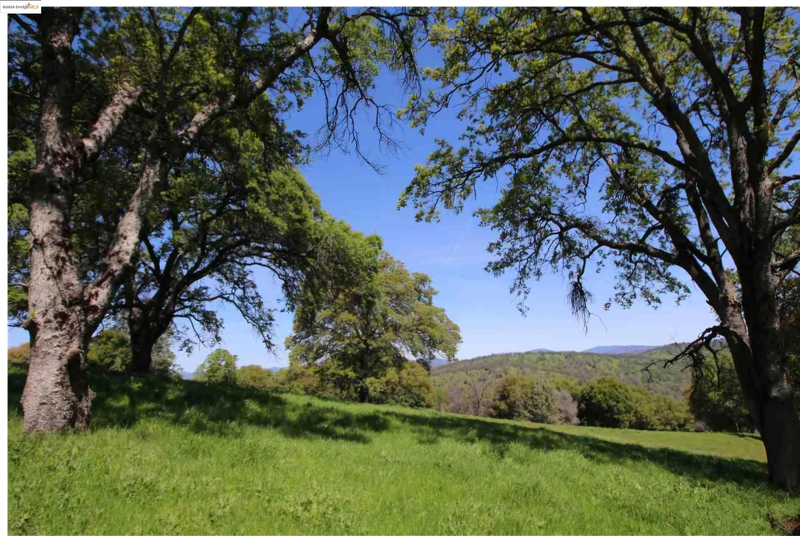 Detail Gallery Image 17 of 19 For 16551 Wards Ferry Rd, Sonora,  CA 95370 - – Beds | – Baths