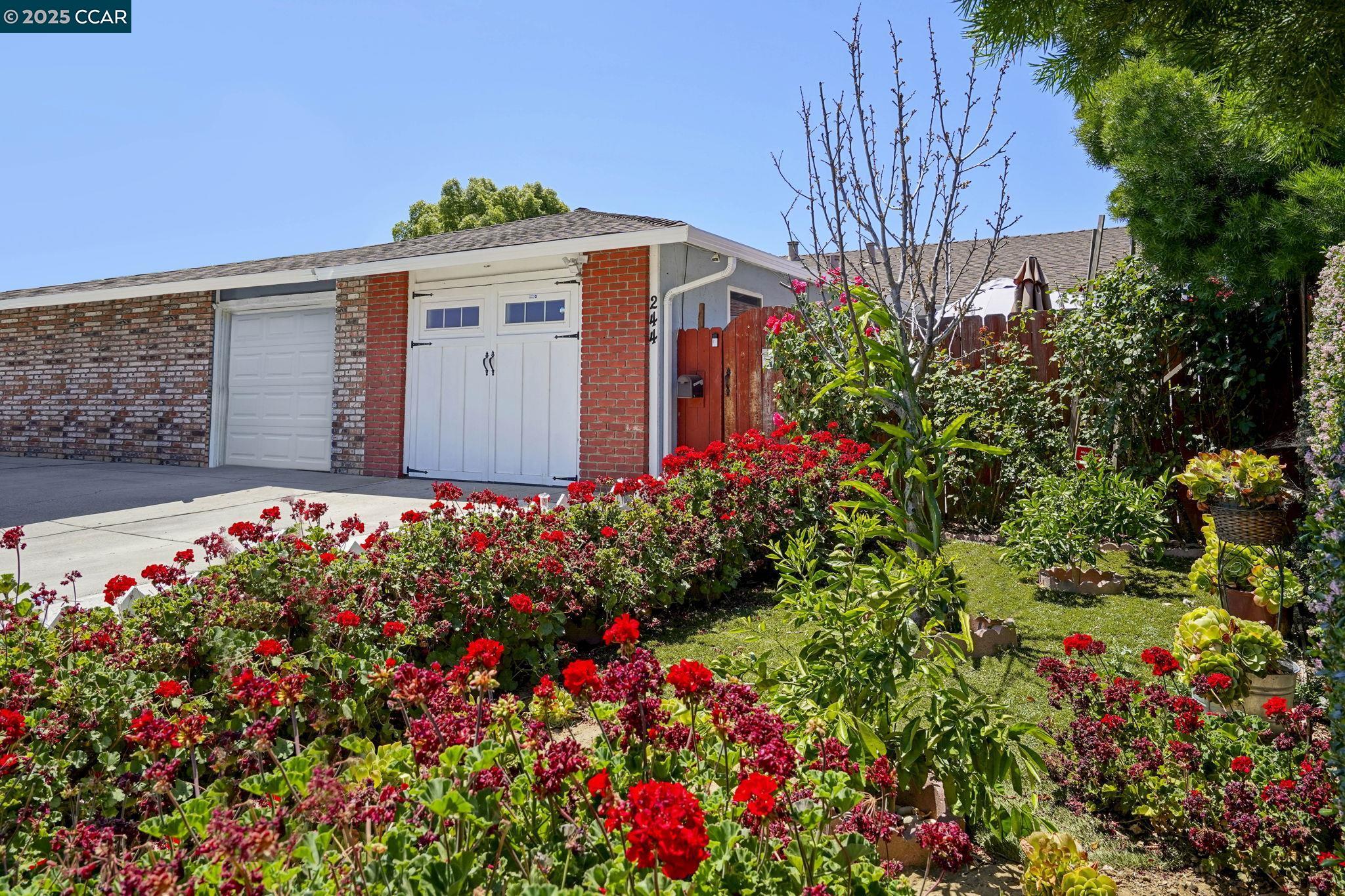 Detail Gallery Image 1 of 31 For 244 E Trident Dr, Pittsburg,  CA 94565 - 4 Beds | 2 Baths