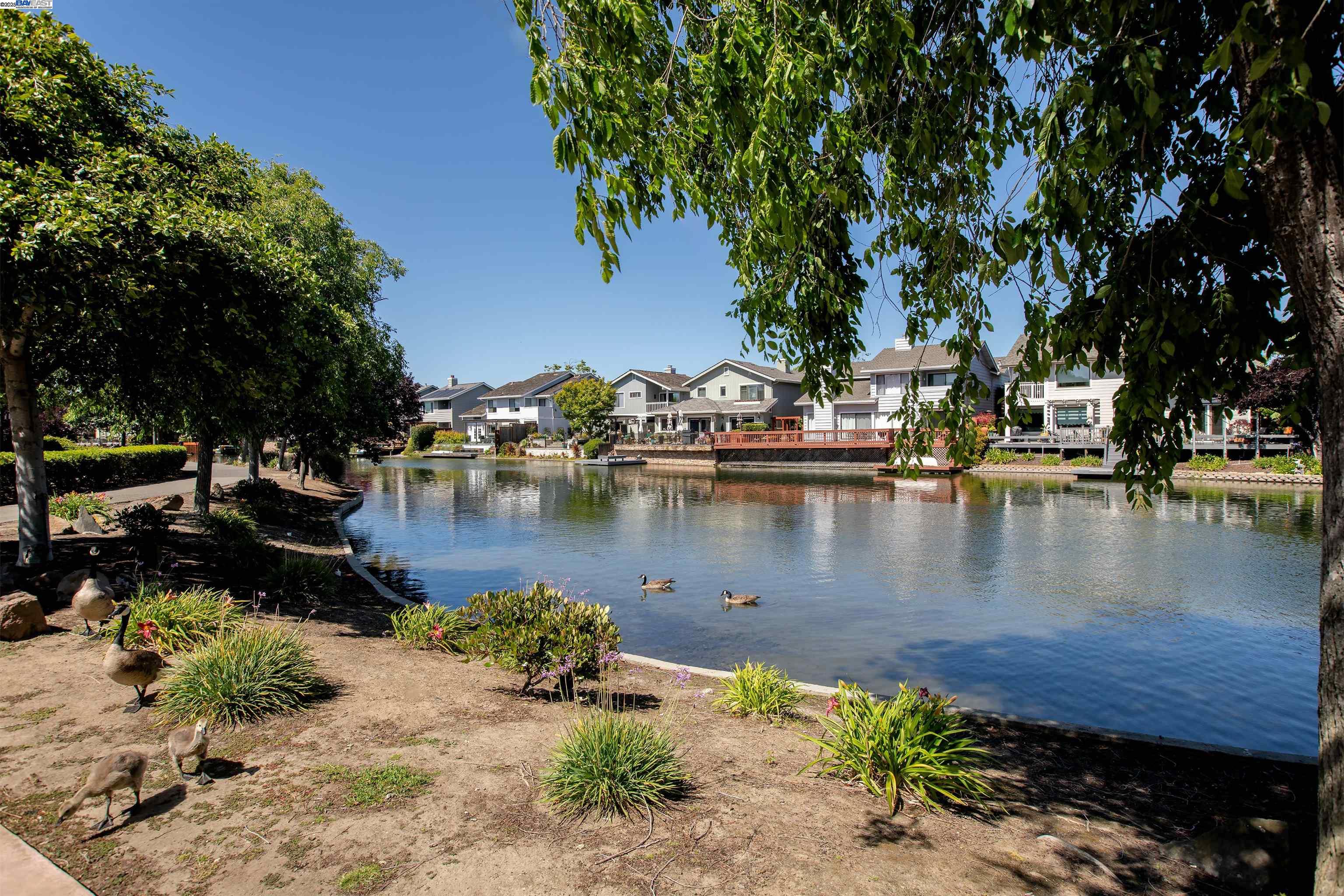 Detail Gallery Image 44 of 50 For 801 Ironwood Rd, Alameda,  CA 94502 - 3 Beds | 2/1 Baths