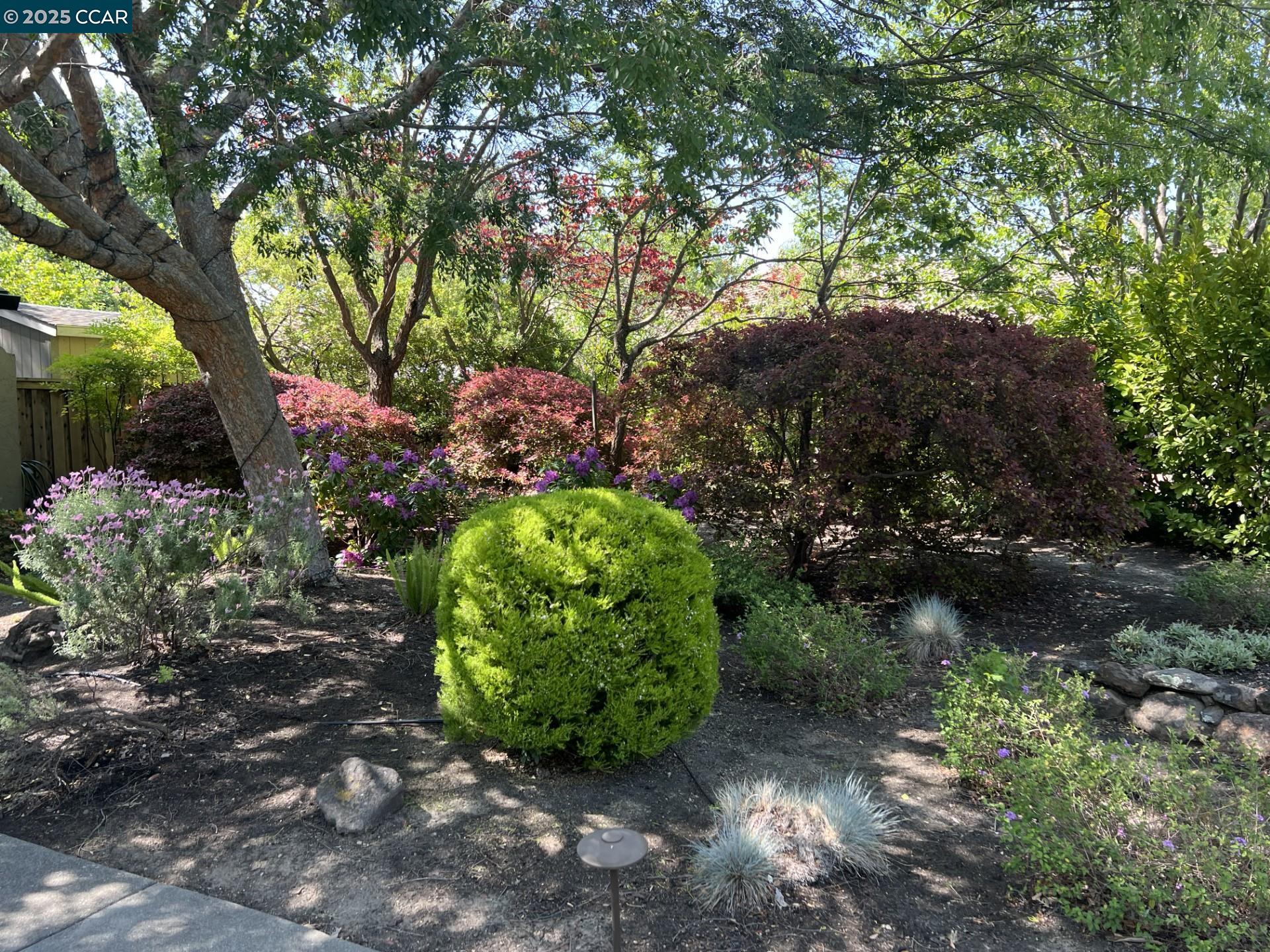 Detail Gallery Image 2 of 8 For 42 Horseshoe Ct, Walnut Creek,  CA 94596 - 5 Beds | 3/1 Baths