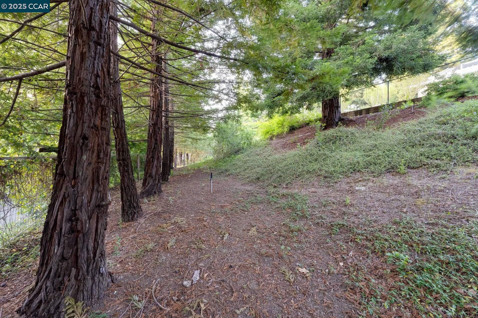 Detail Gallery Image 45 of 54 For 9 Irvine Drive, Moraga,  CA 94556 - 4 Beds | 2/1 Baths