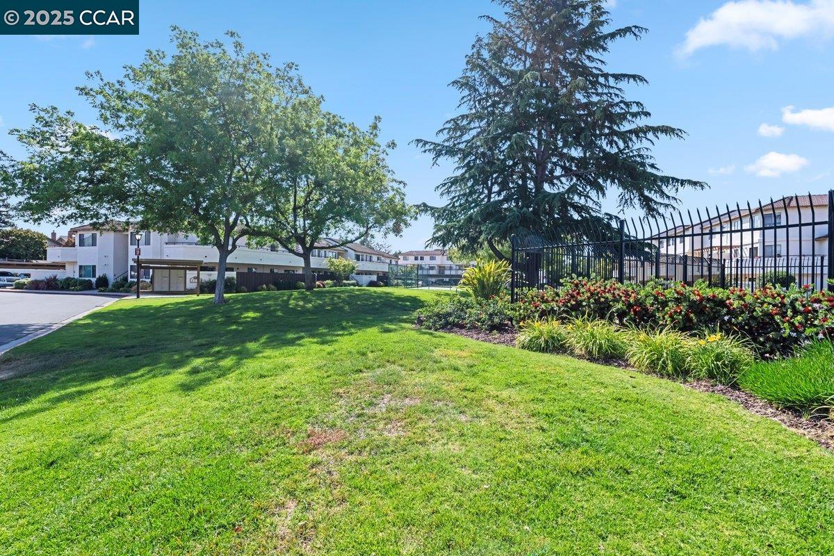 Photo #20: 41098146 Listing: Photo #20
