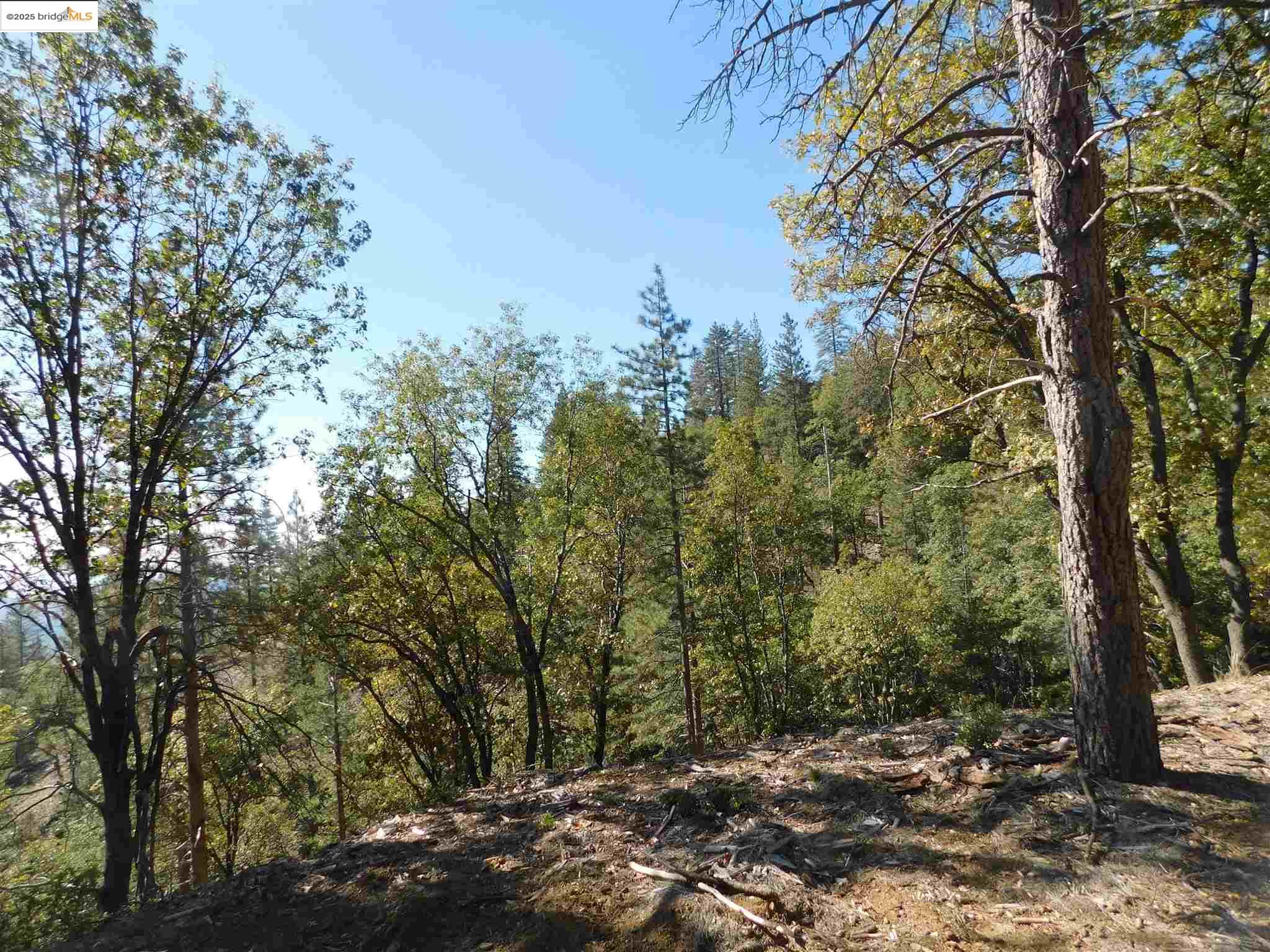 Detail Gallery Image 11 of 29 For 16280 Old Oak Ranch, Sonora,  CA 95370 - – Beds | – Baths