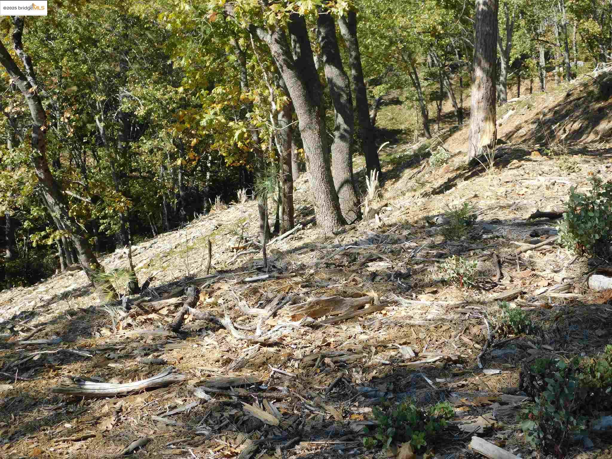 Detail Gallery Image 18 of 29 For 16280 Old Oak Ranch, Sonora,  CA 95370 - – Beds | – Baths