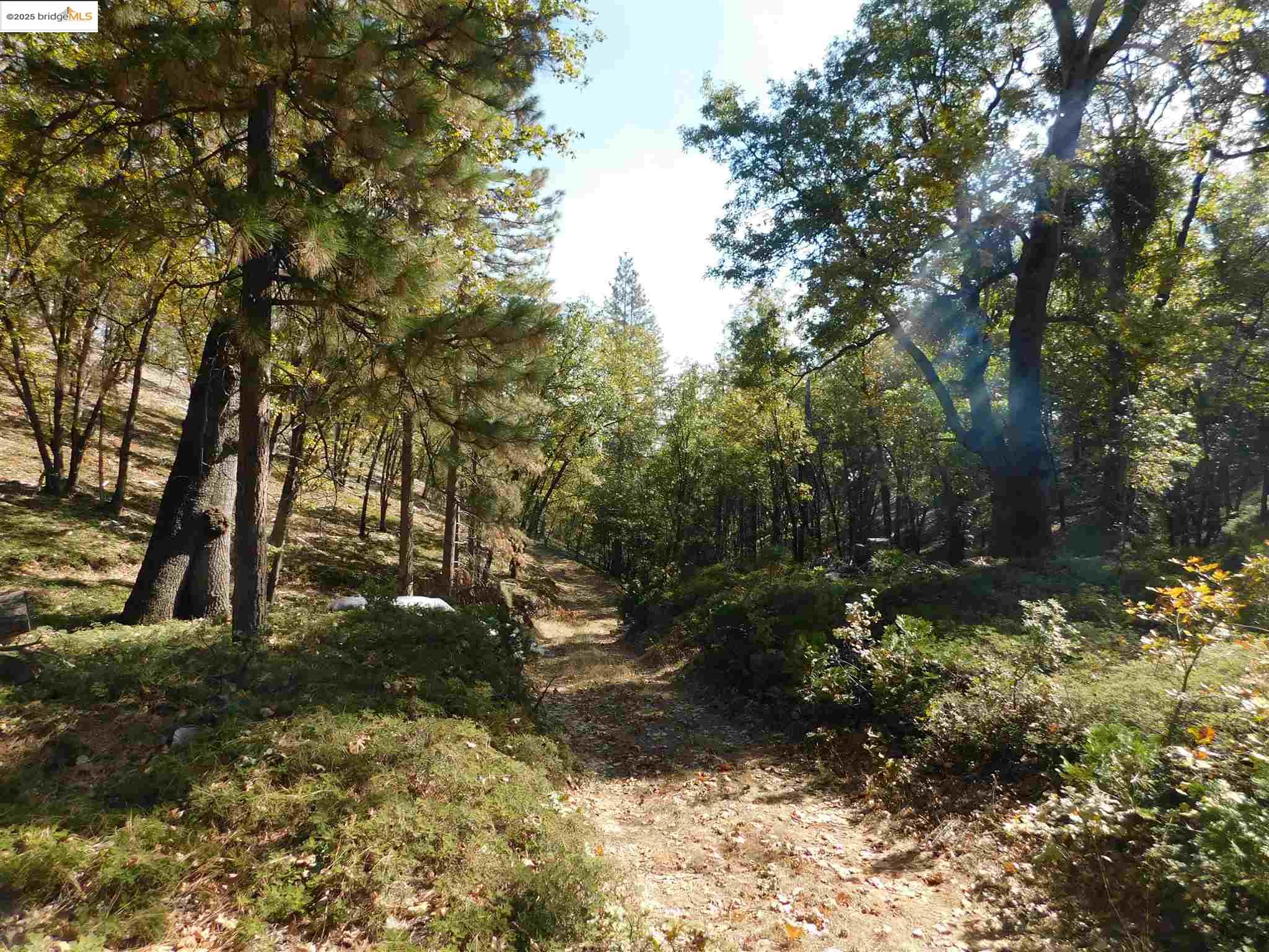 Detail Gallery Image 23 of 29 For 16280 Old Oak Ranch, Sonora,  CA 95370 - – Beds | – Baths