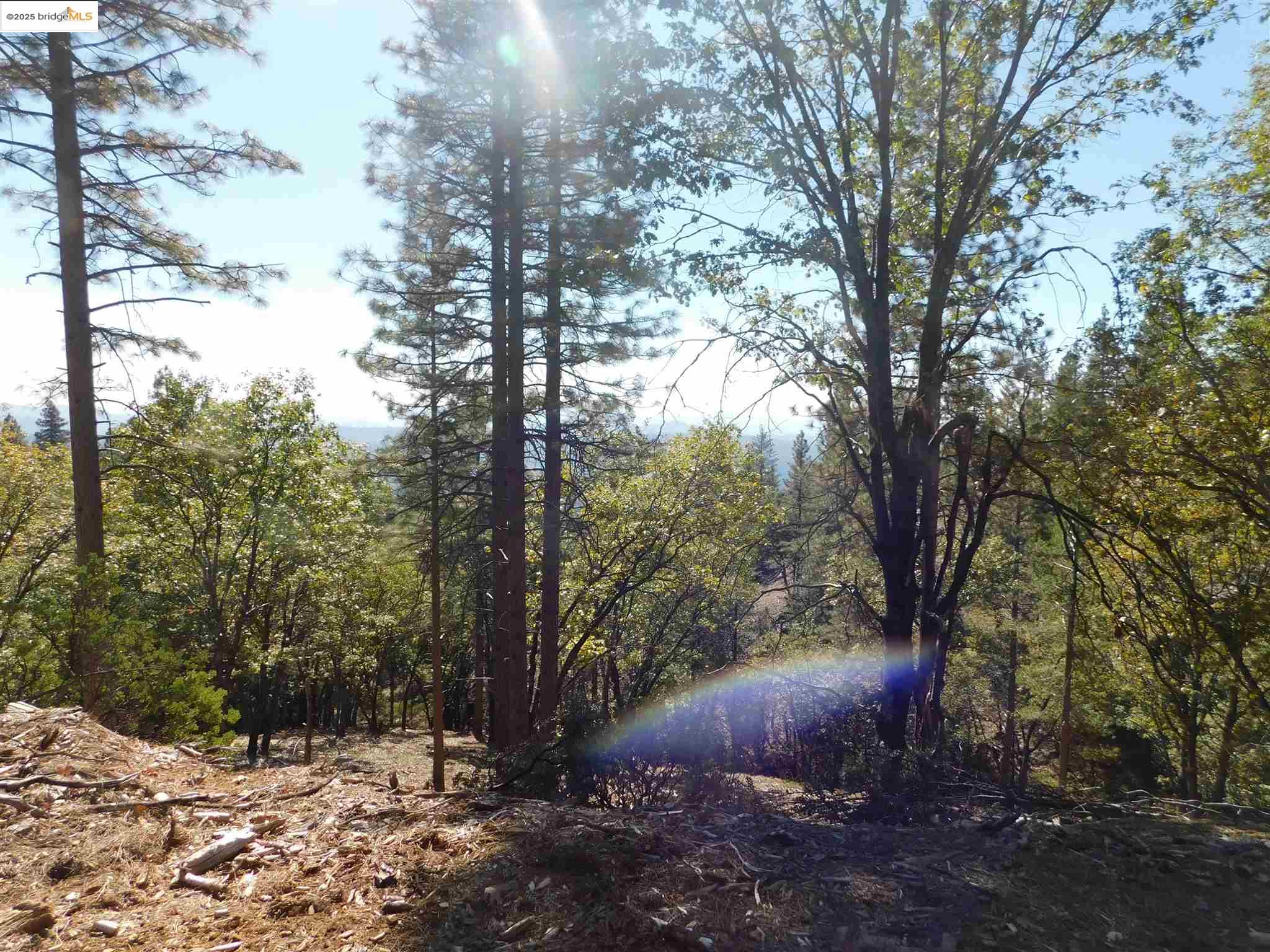 Detail Gallery Image 4 of 29 For 16280 Old Oak Ranch, Sonora,  CA 95370 - – Beds | – Baths