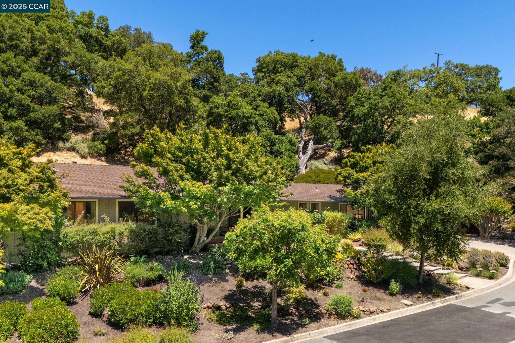 Detail Gallery Image 1 of 58 For 149 Castle Ct, Lafayette,  CA 94549 - 4 Beds | 2/1 Baths