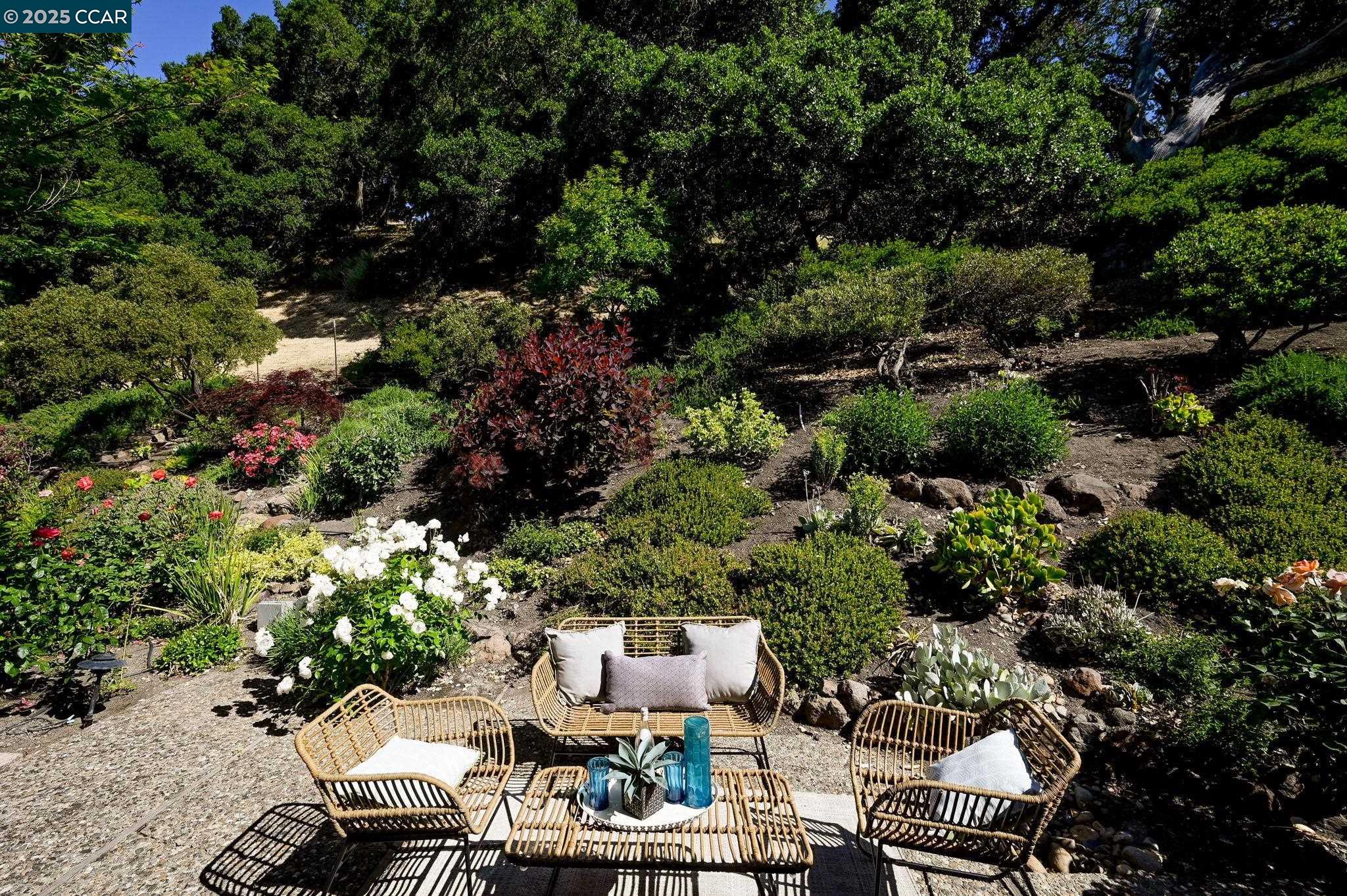 Detail Gallery Image 29 of 58 For 149 Castle Ct, Lafayette,  CA 94549 - 4 Beds | 2/1 Baths