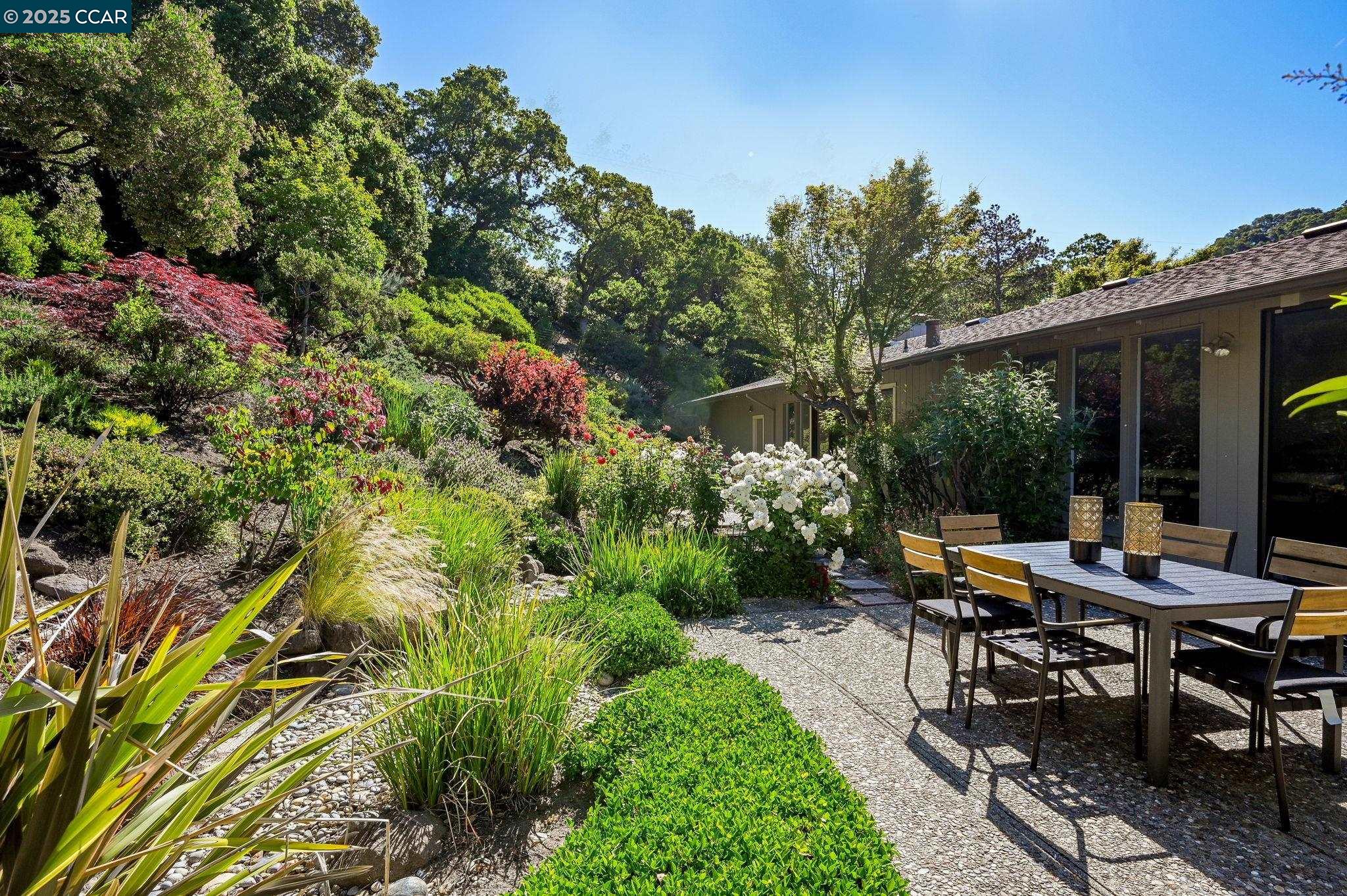 Detail Gallery Image 31 of 58 For 149 Castle Ct, Lafayette,  CA 94549 - 4 Beds | 2/1 Baths