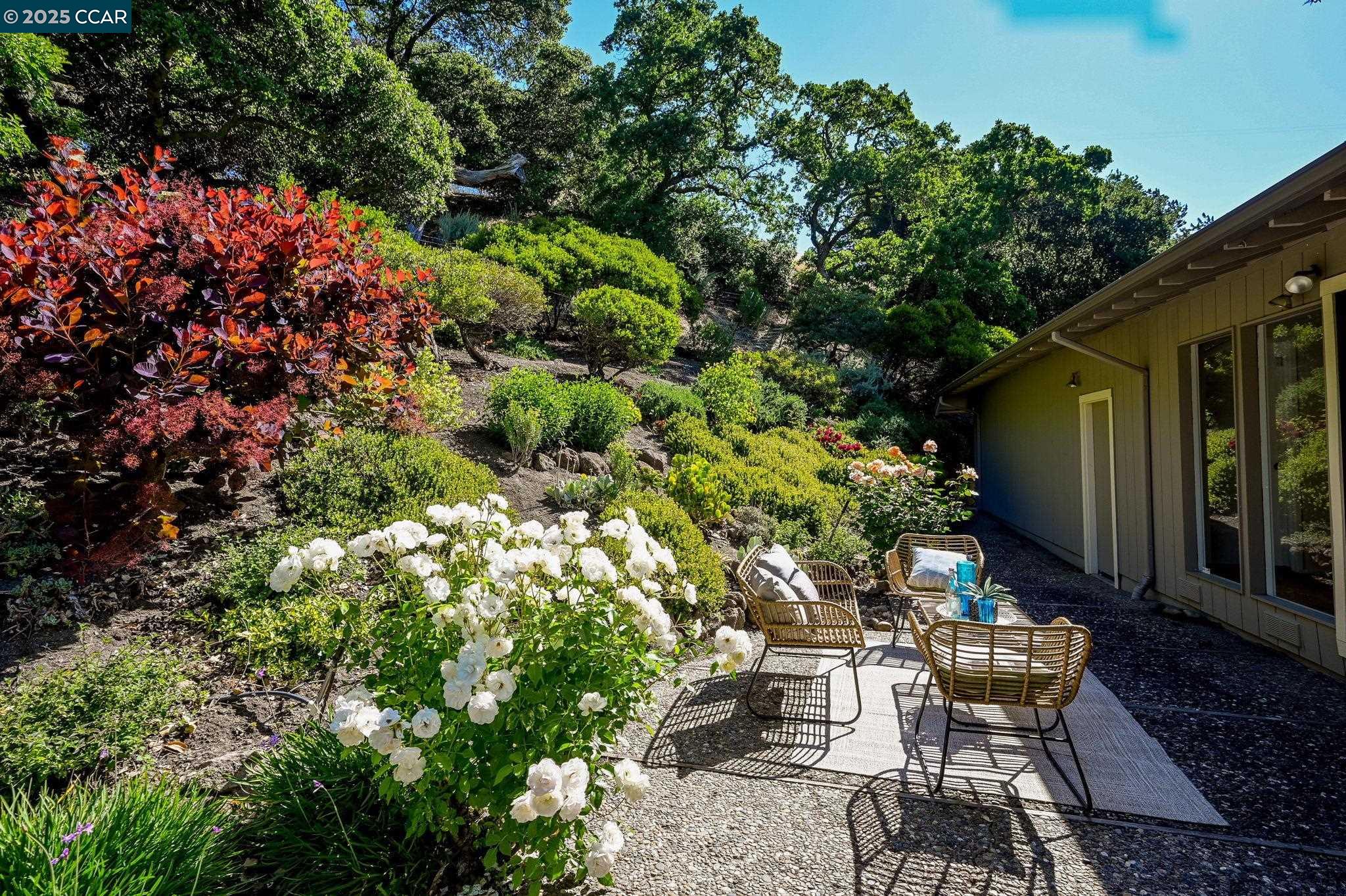 Detail Gallery Image 32 of 58 For 149 Castle Ct, Lafayette,  CA 94549 - 4 Beds | 2/1 Baths