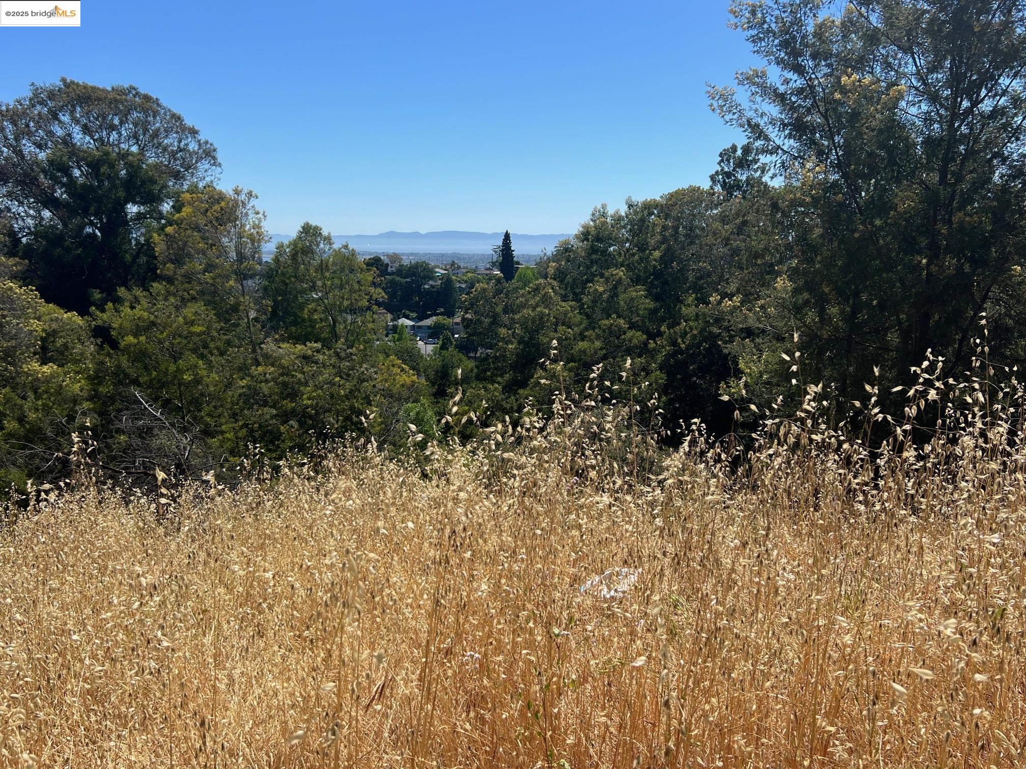 Detail Gallery Image 3 of 16 For 3257 Monterey Blvd., Oakland,  CA 94602 - – Beds | – Baths
