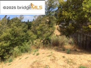 Detail Gallery Image 10 of 16 For 3257 Monterey Blvd., Oakland,  CA 94602 - – Beds | – Baths