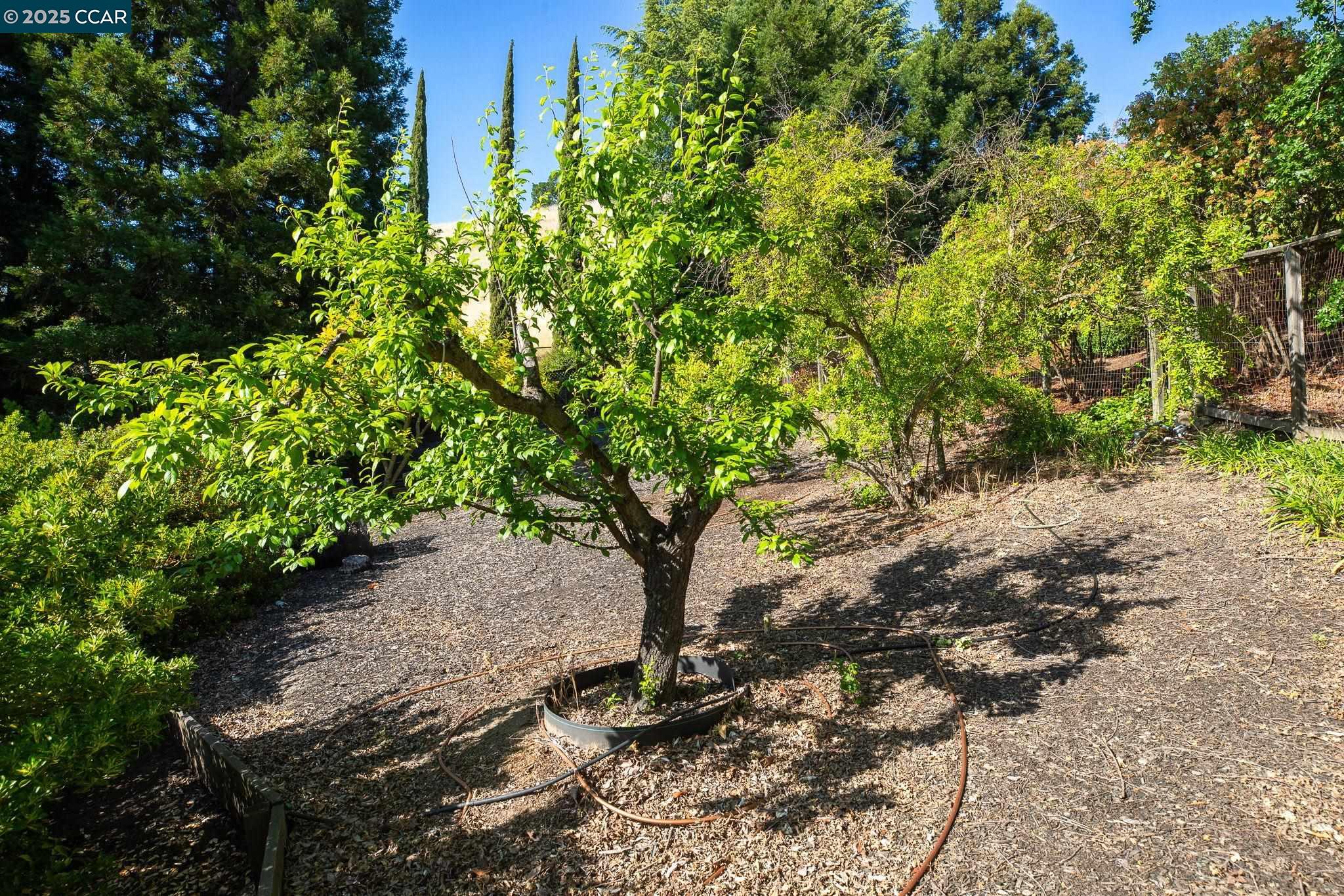 Detail Gallery Image 37 of 54 For 120 Heritage Oaks Pl, Alamo,  CA 94507 - 4 Beds | 3 Baths