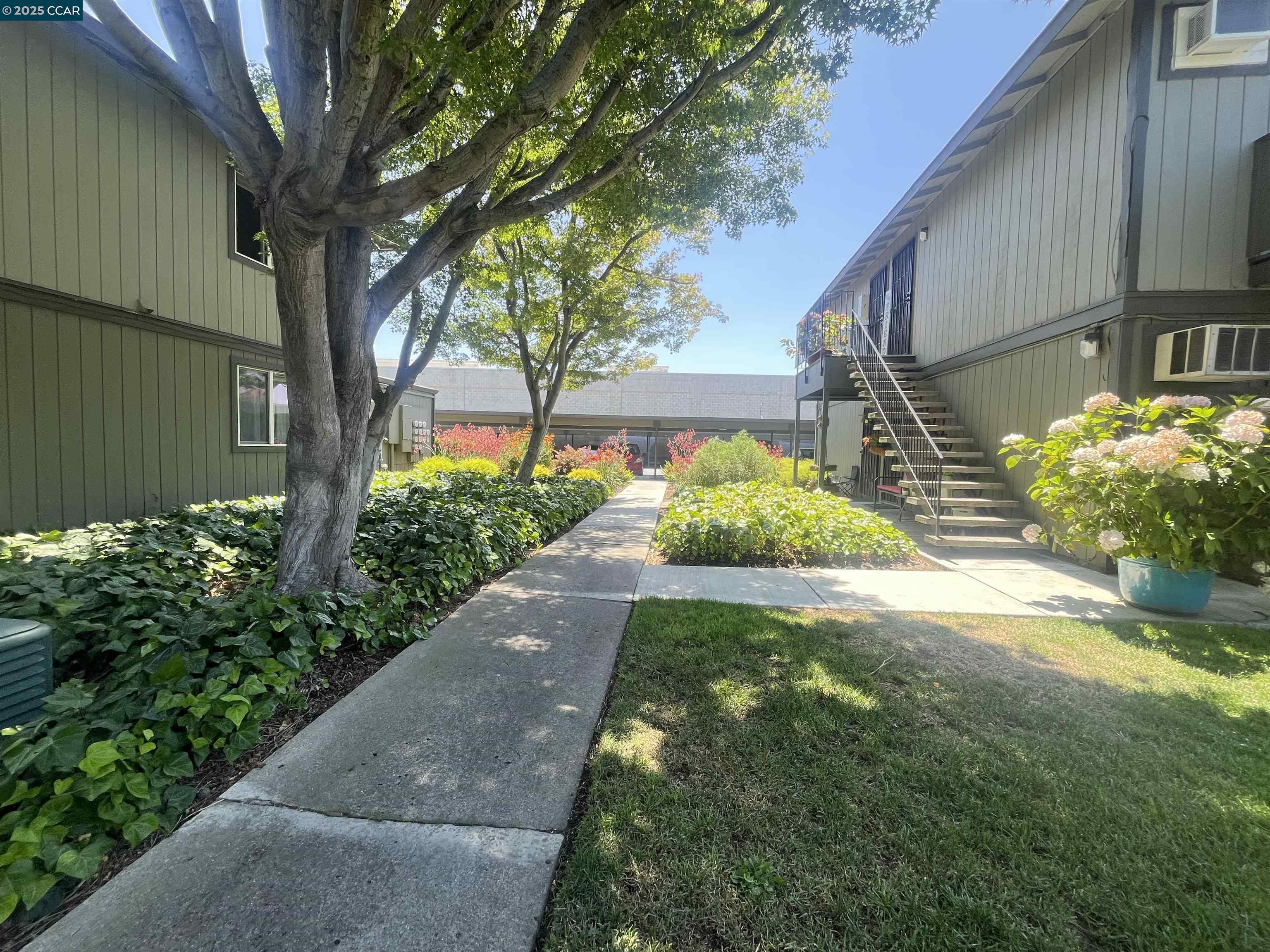 Photo #14: 41098201 Listing: Photo #14