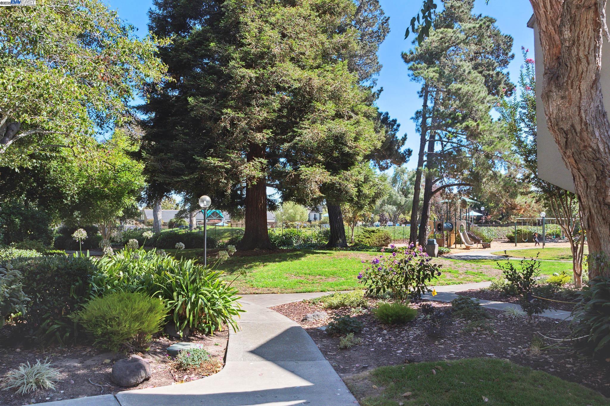 Photo #47: 41098202 Listing: Photo #47