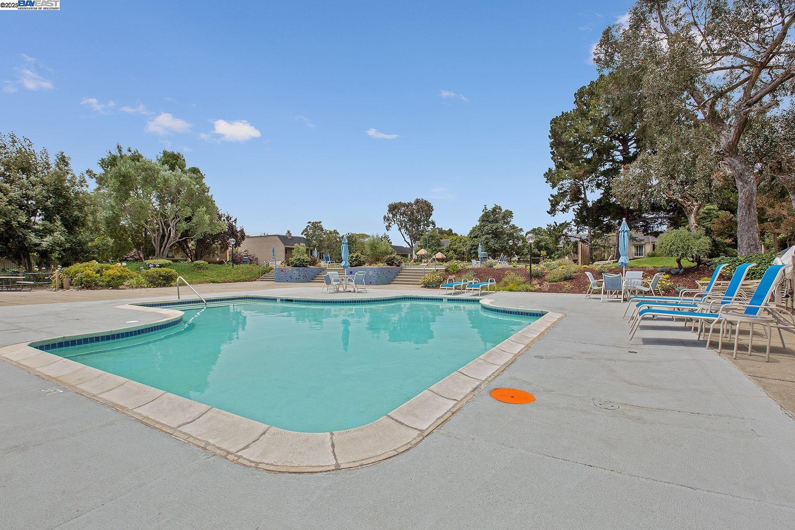 Photo #51: 41098202 Listing: Photo #51