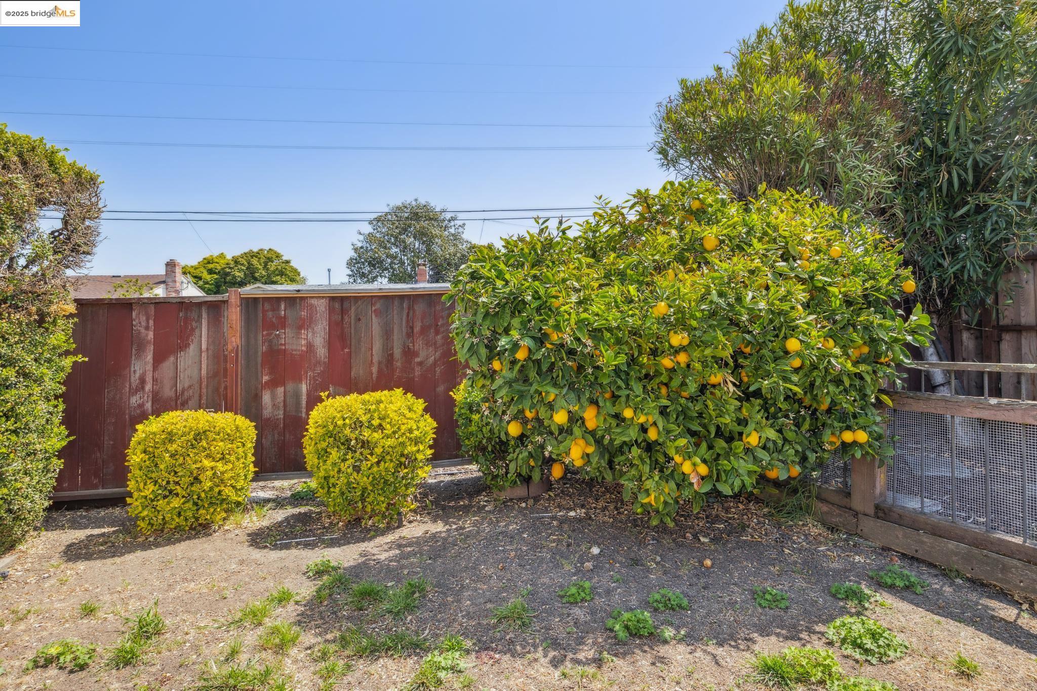 Detail Gallery Image 37 of 42 For 1608 Lanier Ave, San Leandro,  CA 94579 - 3 Beds | 2 Baths