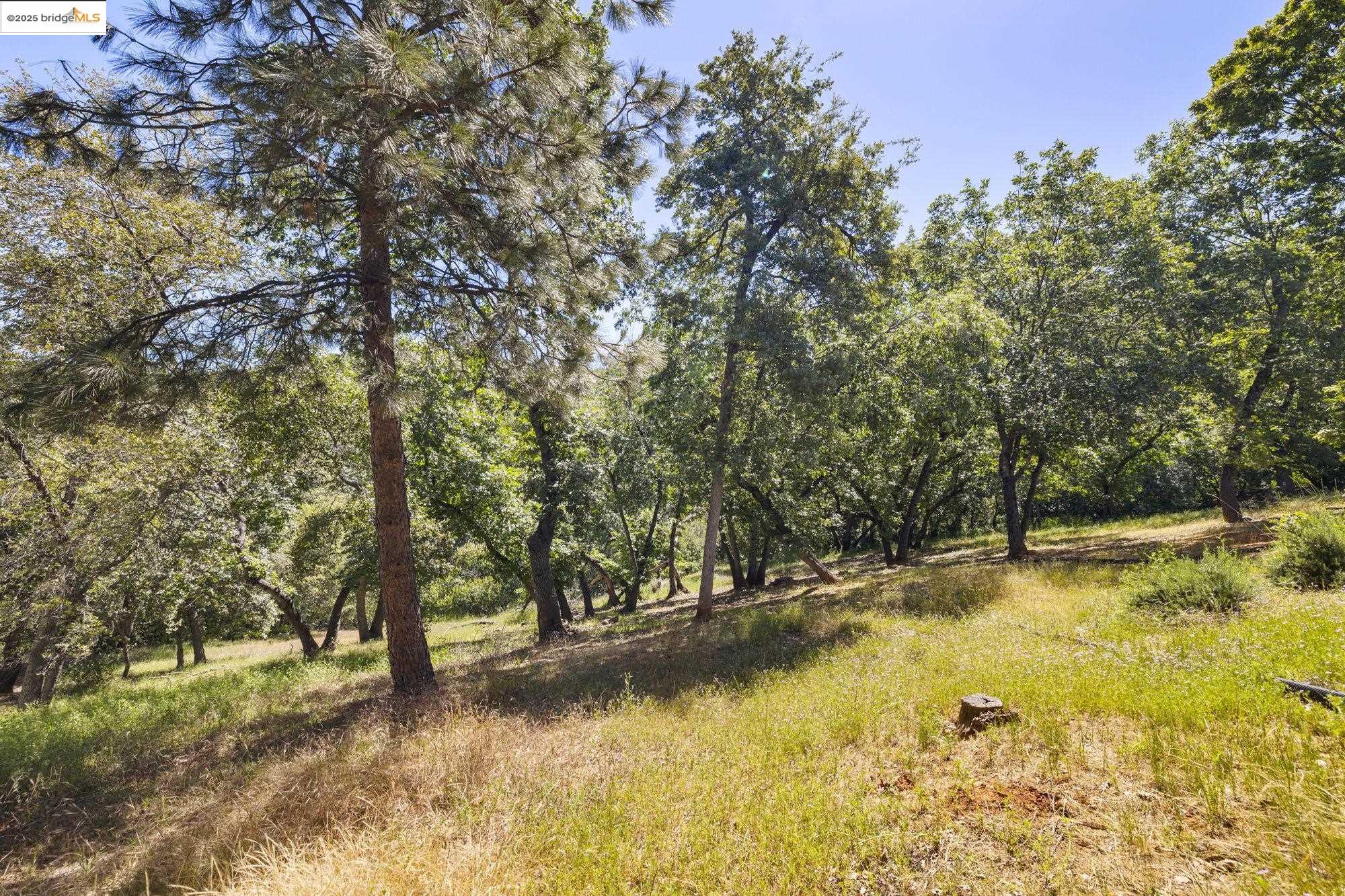 Detail Gallery Image 37 of 38 For 15840 Ridgefield Ct., Sonora,  CA 95370 - 3 Beds | 2 Baths