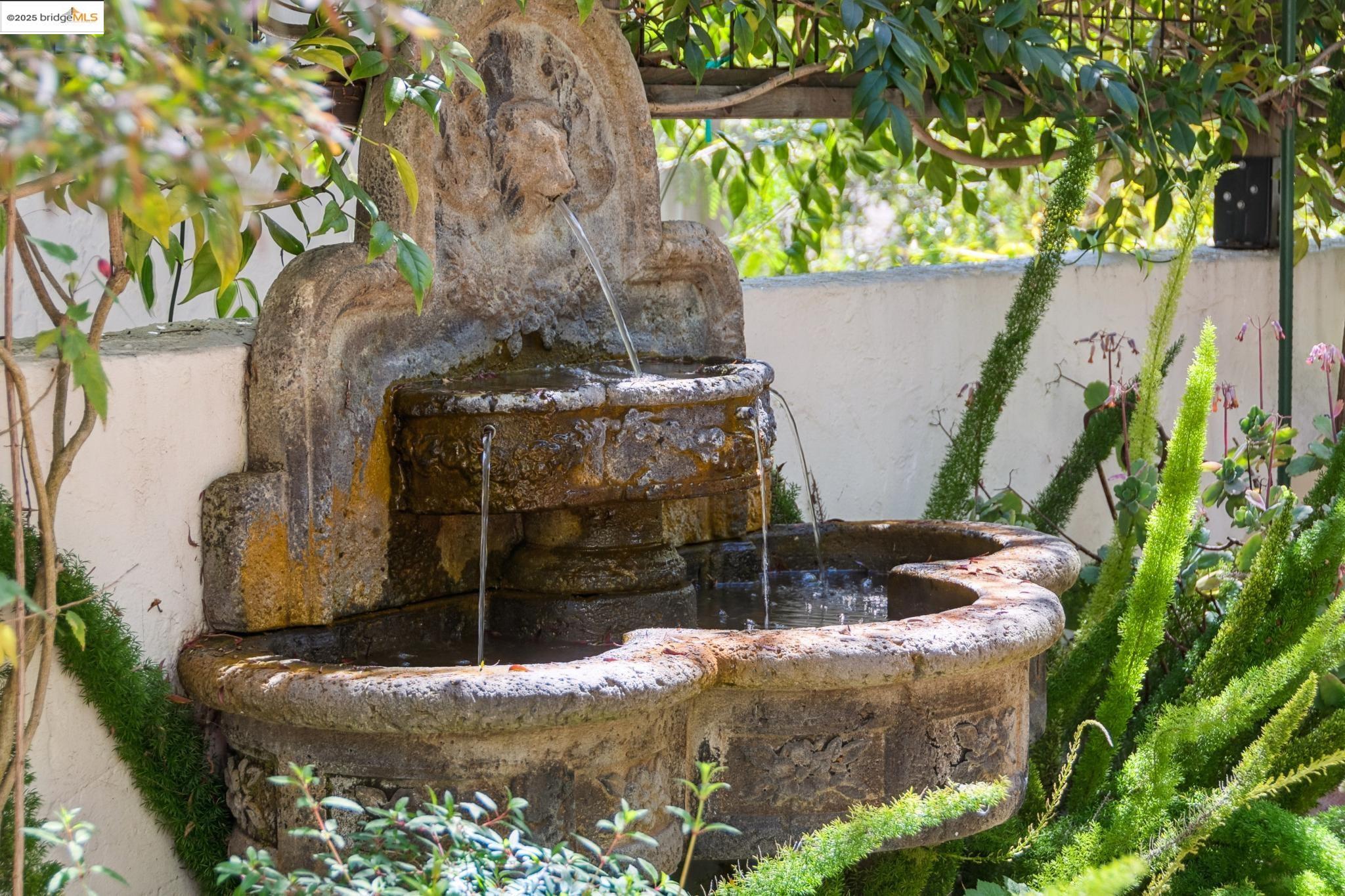 Detail Gallery Image 8 of 60 For 774 Spruce St, Berkeley,  CA 94707 - 3 Beds | 2 Baths