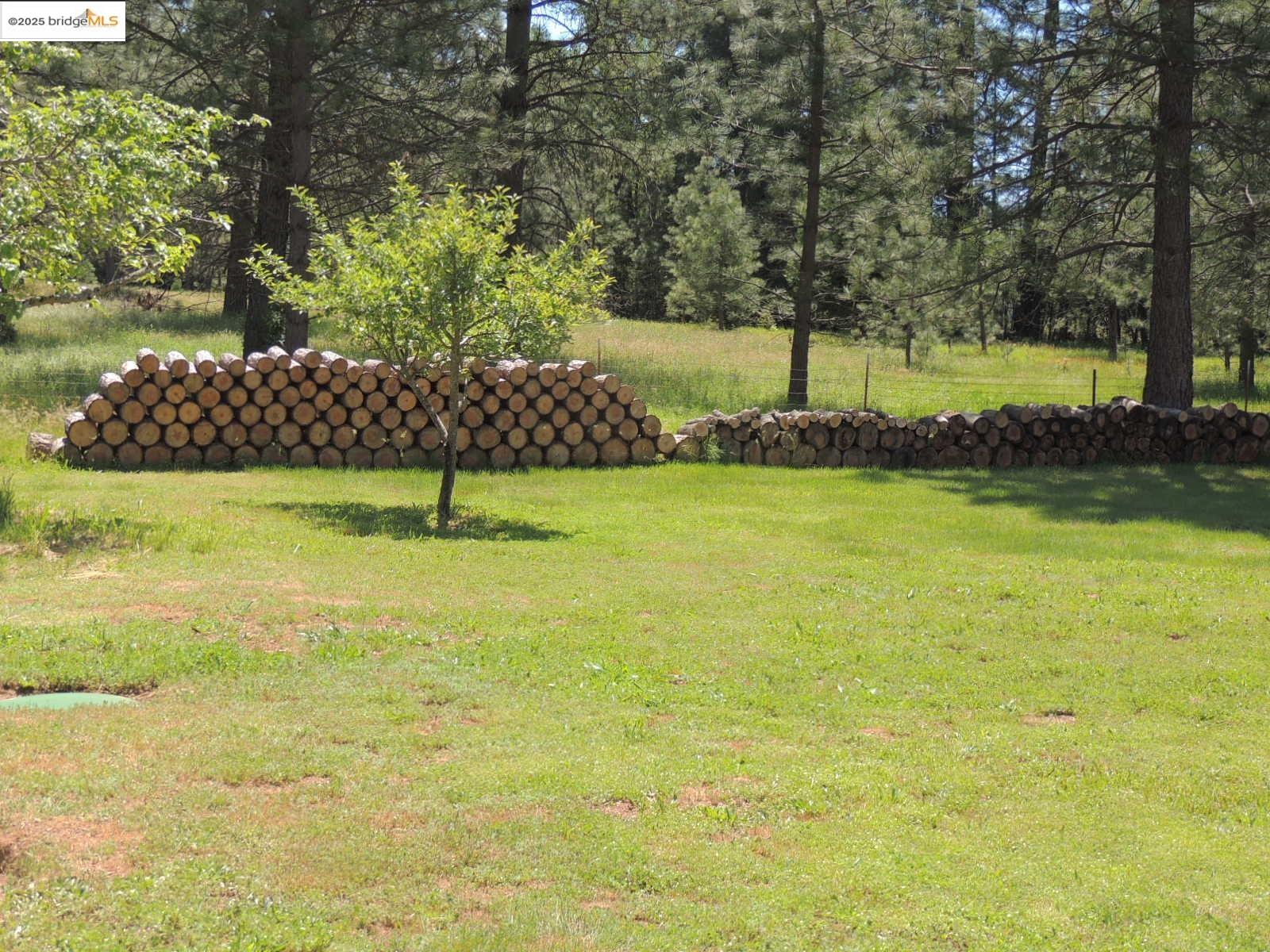Detail Gallery Image 8 of 60 For 6653 Dogtown Rd, Greeley Hills,  CA 95311 - 2 Beds | 2/1 Baths