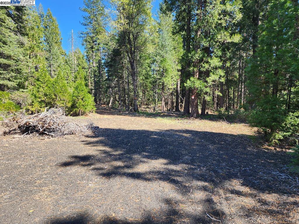 Front Image Thumbnail for BE41098336