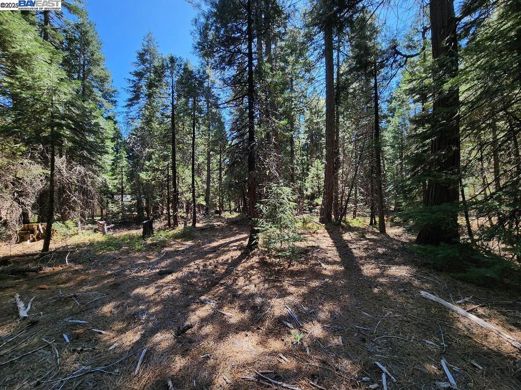 Detail Gallery Image 11 of 25 For Aurora View Dr, –,  CA 96088 - – Beds | – Baths