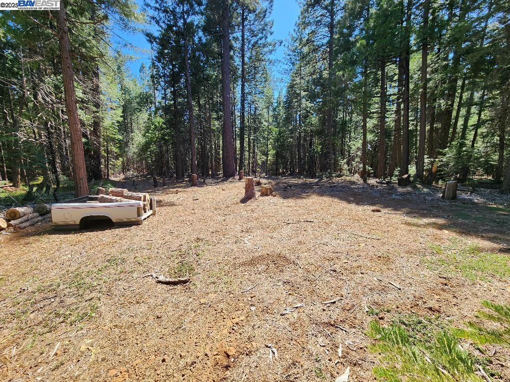 Detail Gallery Image 21 of 25 For Aurora View Dr, –,  CA 96088 - – Beds | – Baths