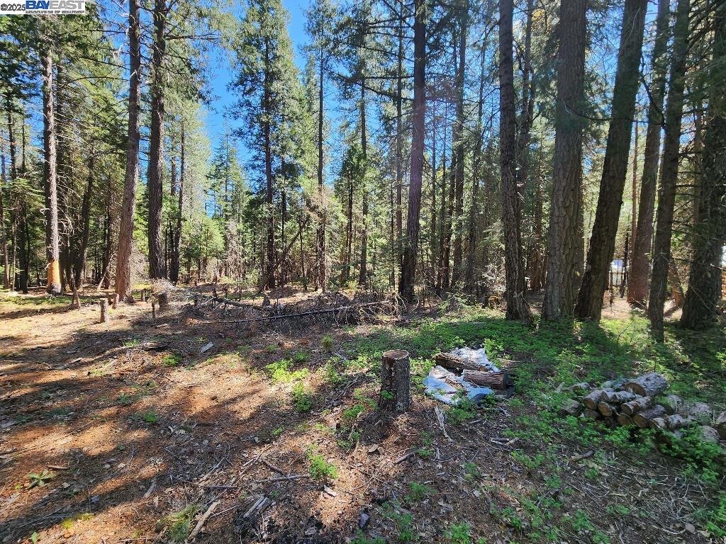Detail Gallery Image 5 of 25 For Aurora View Dr, –,  CA 96088 - – Beds | – Baths