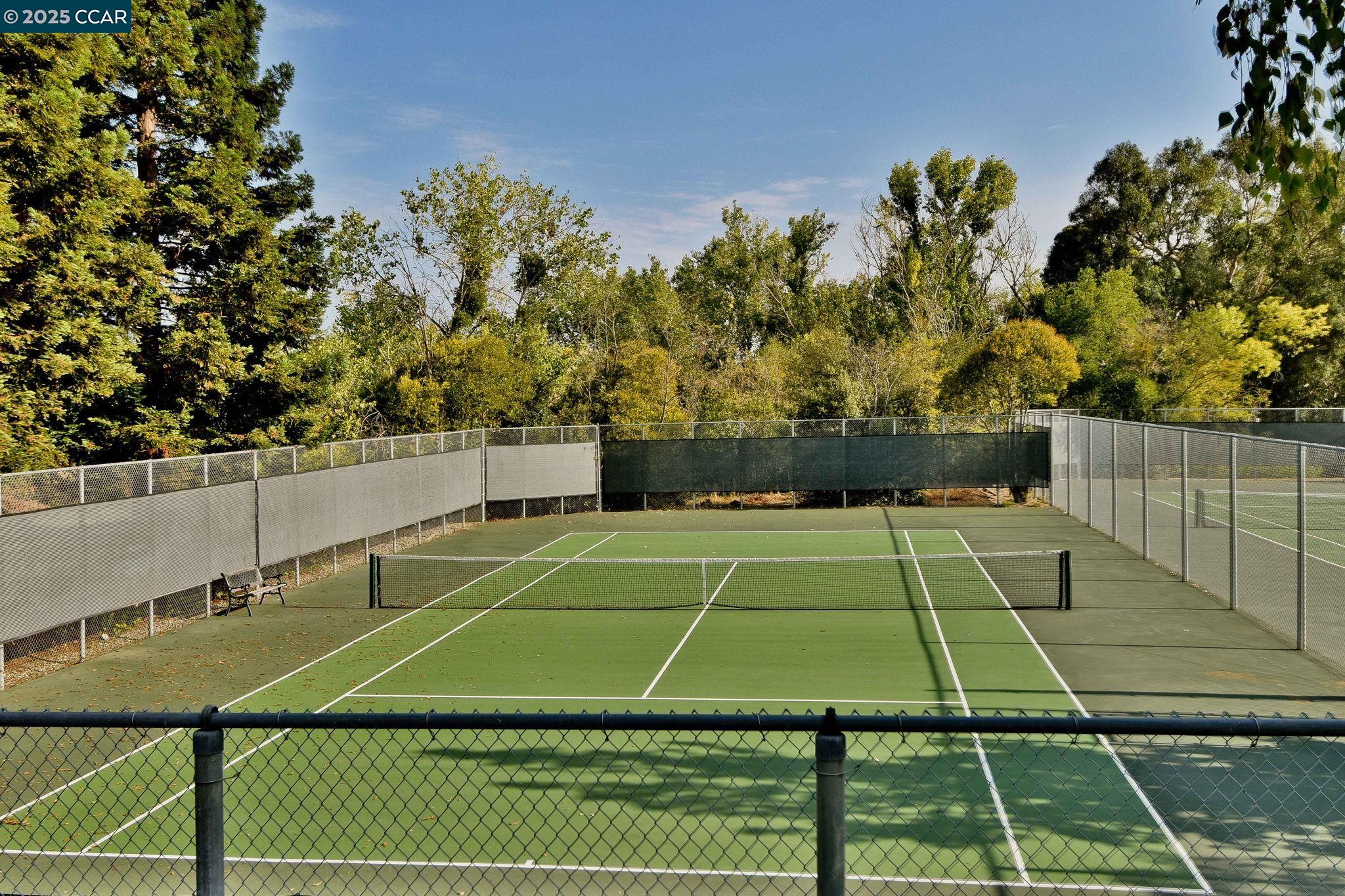 Photo #19: 41098340 Listing: Photo #19