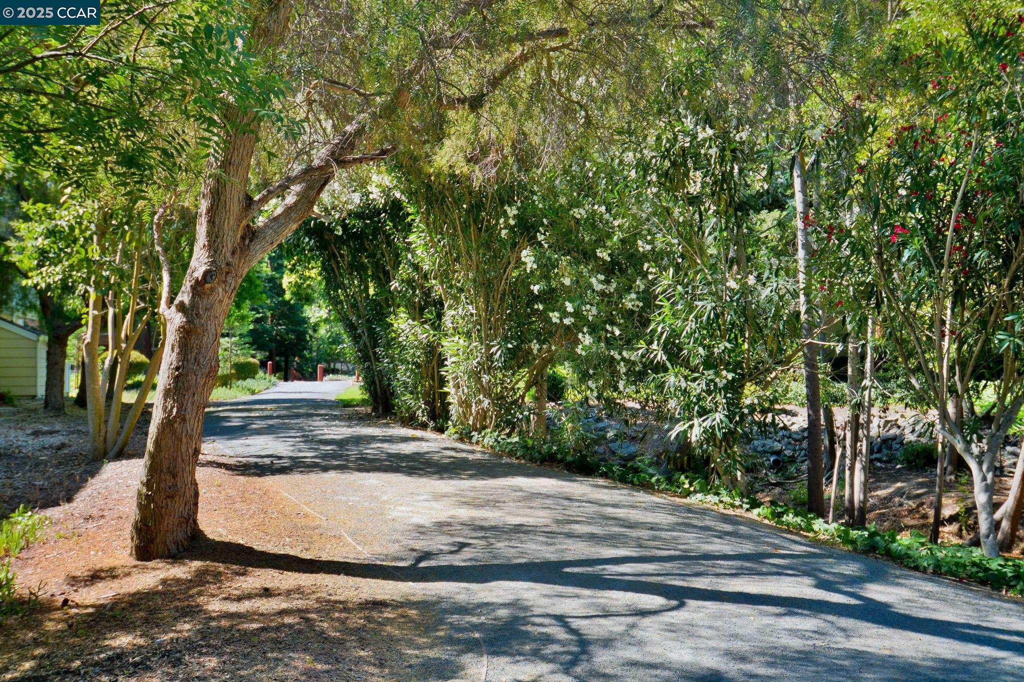 Photo #25: 41098340 Listing: Photo #25