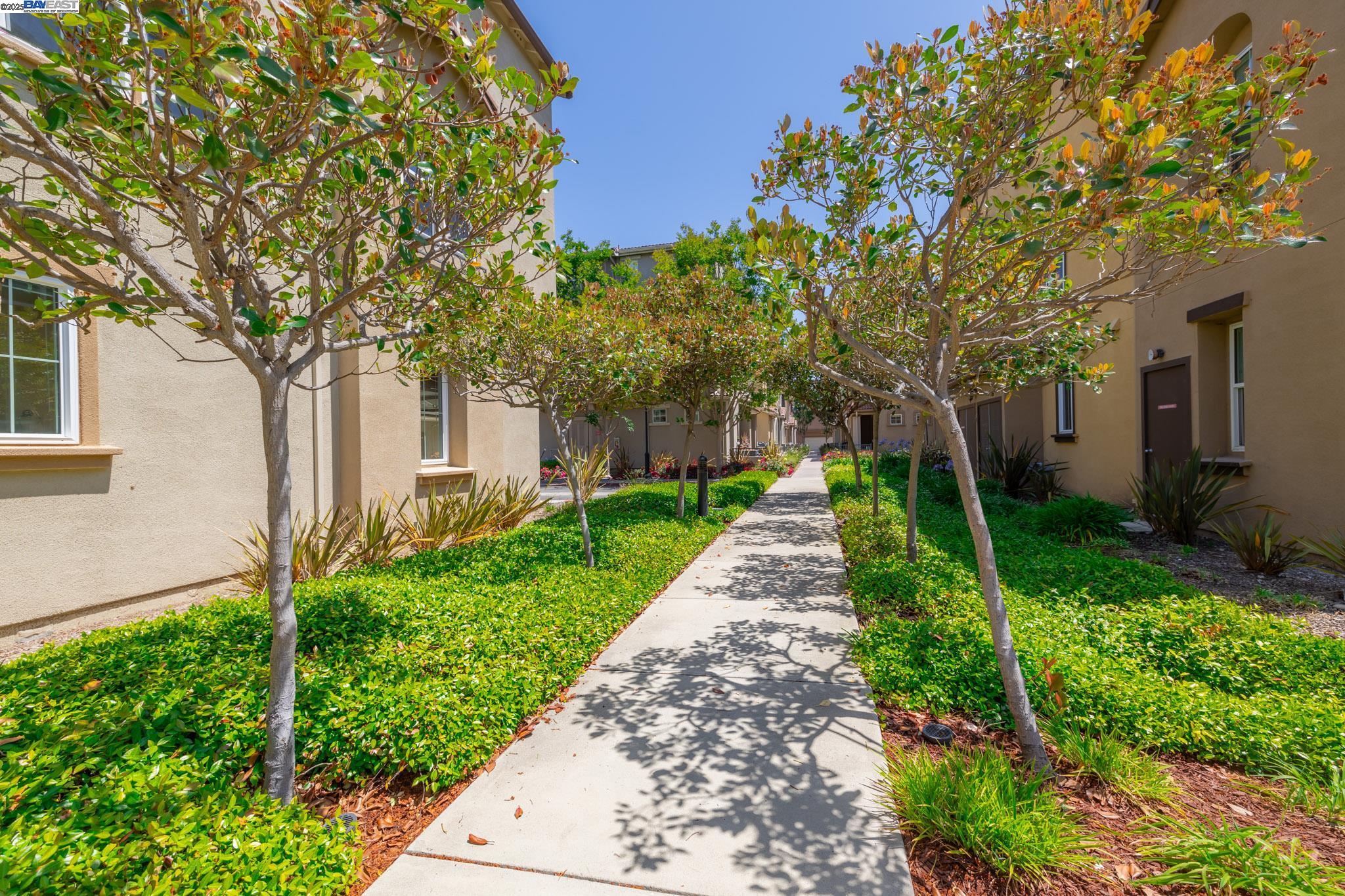 Photo #51: 41098343 Listing: Photo #51