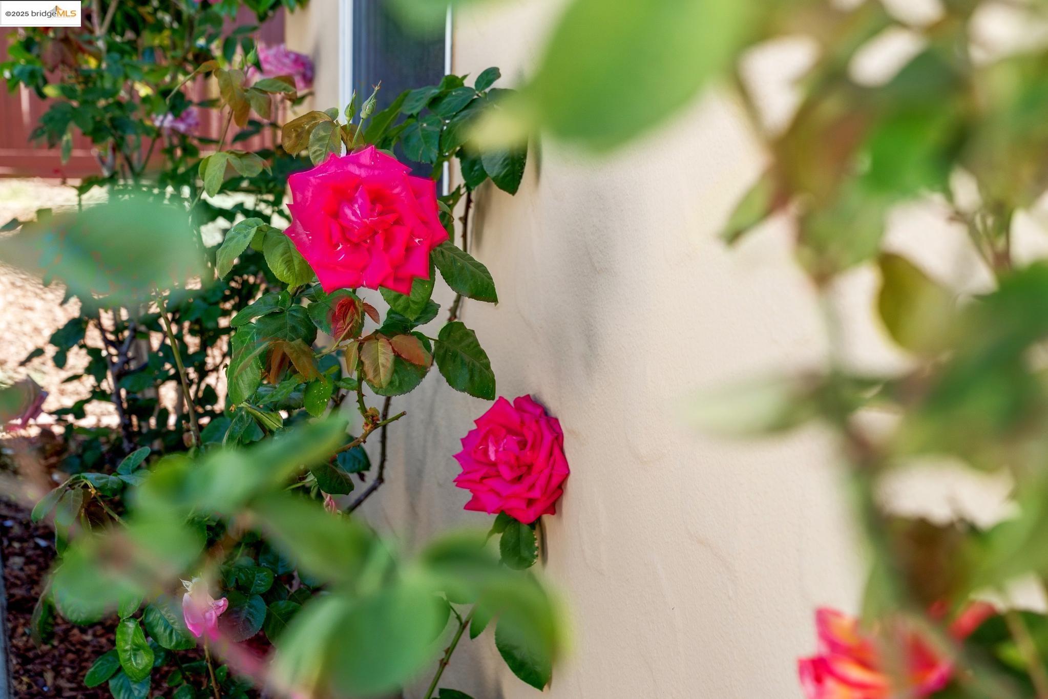 Detail Gallery Image 26 of 32 For 1835 Ralston Ave, Richmond,  CA 94805 - 2 Beds | 1 Baths