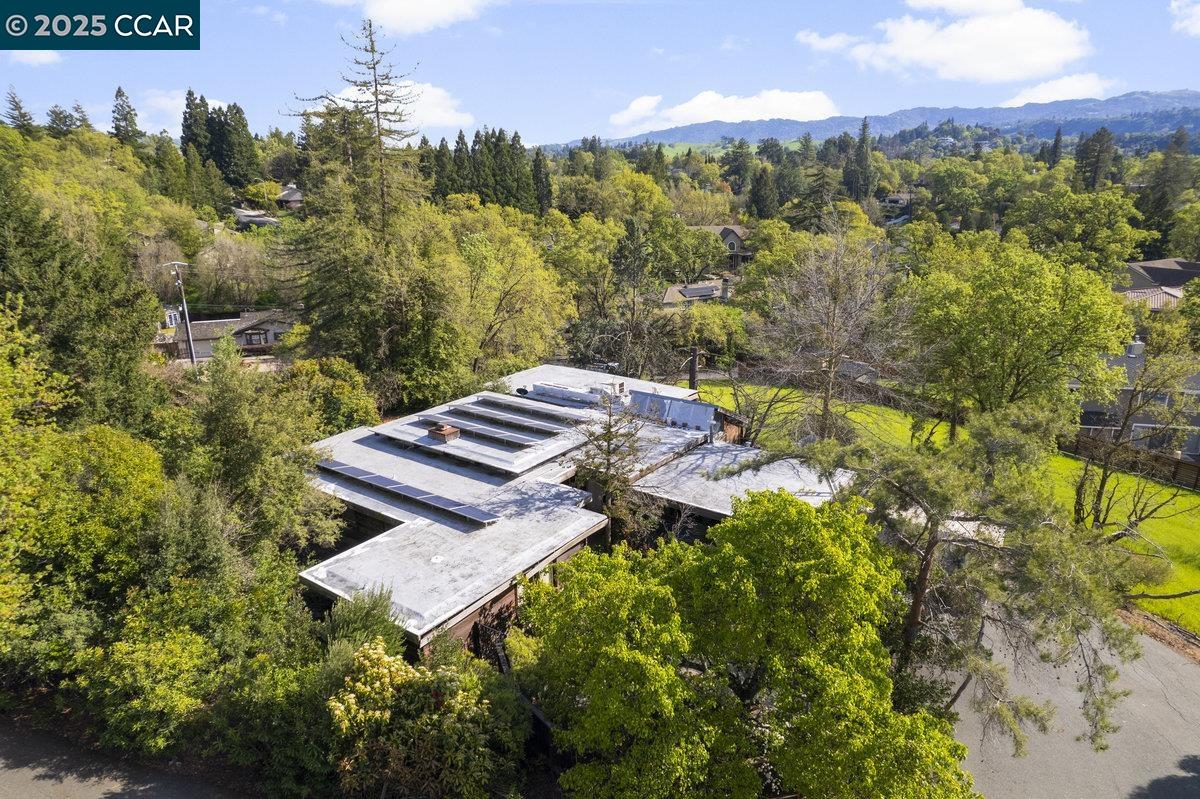 Detail Gallery Image 6 of 29 For 1101 Scots Ln, Walnut Creek,  CA 94596 - 3 Beds | 2/1 Baths